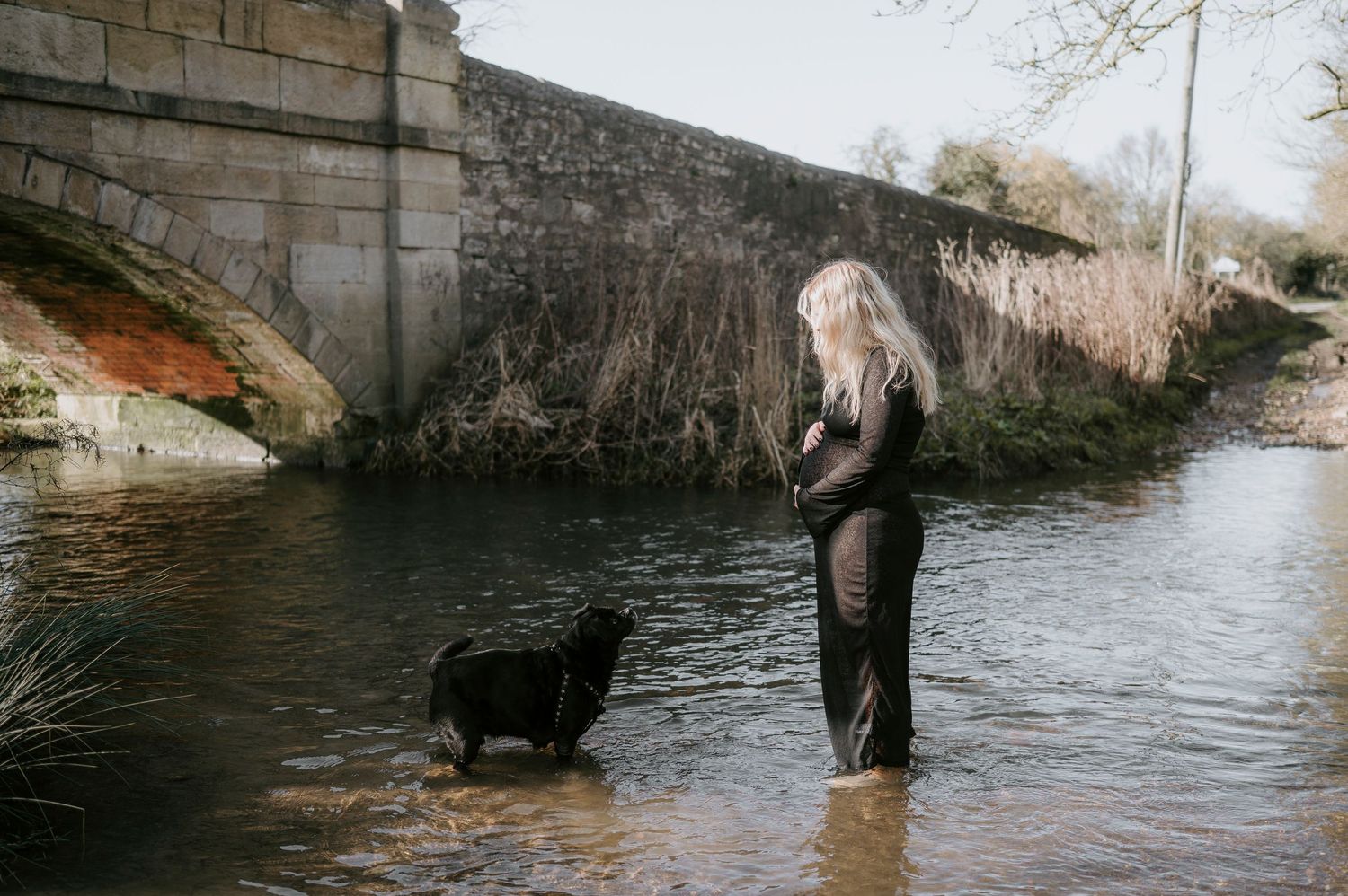 A dog plays and splashes in shallow water near a stone bridge on a sunny day.