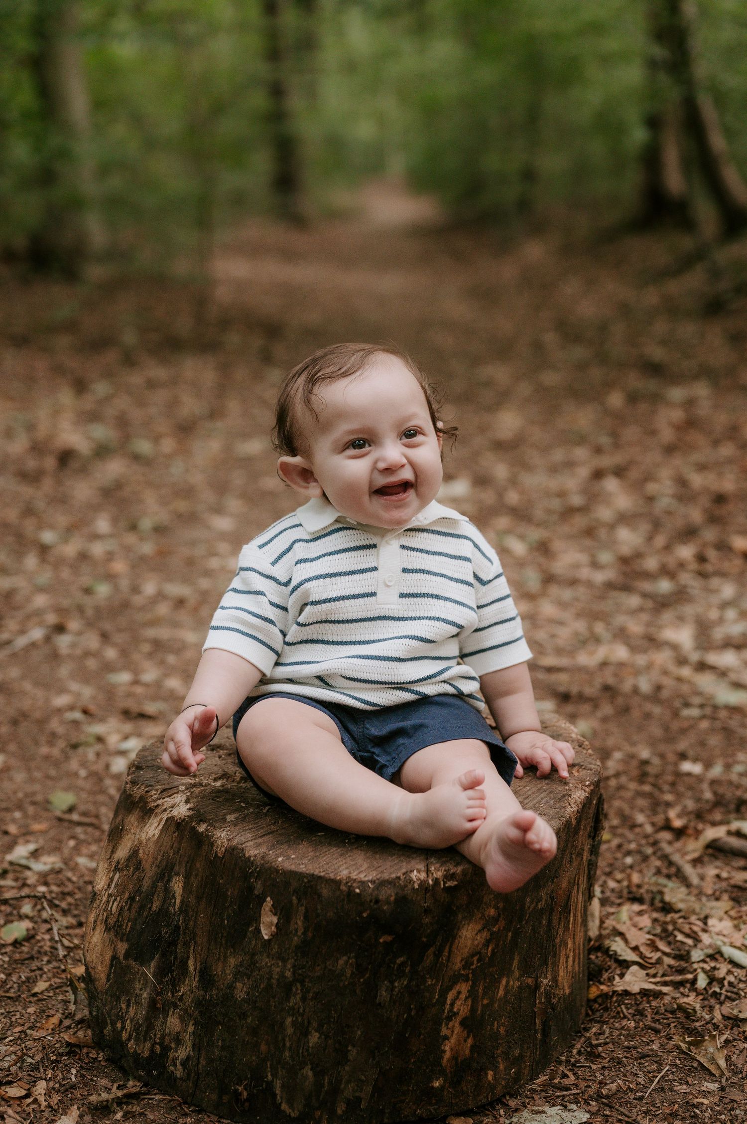 A happy baby in a striped shirt sits on a tree stump in a forest setting.