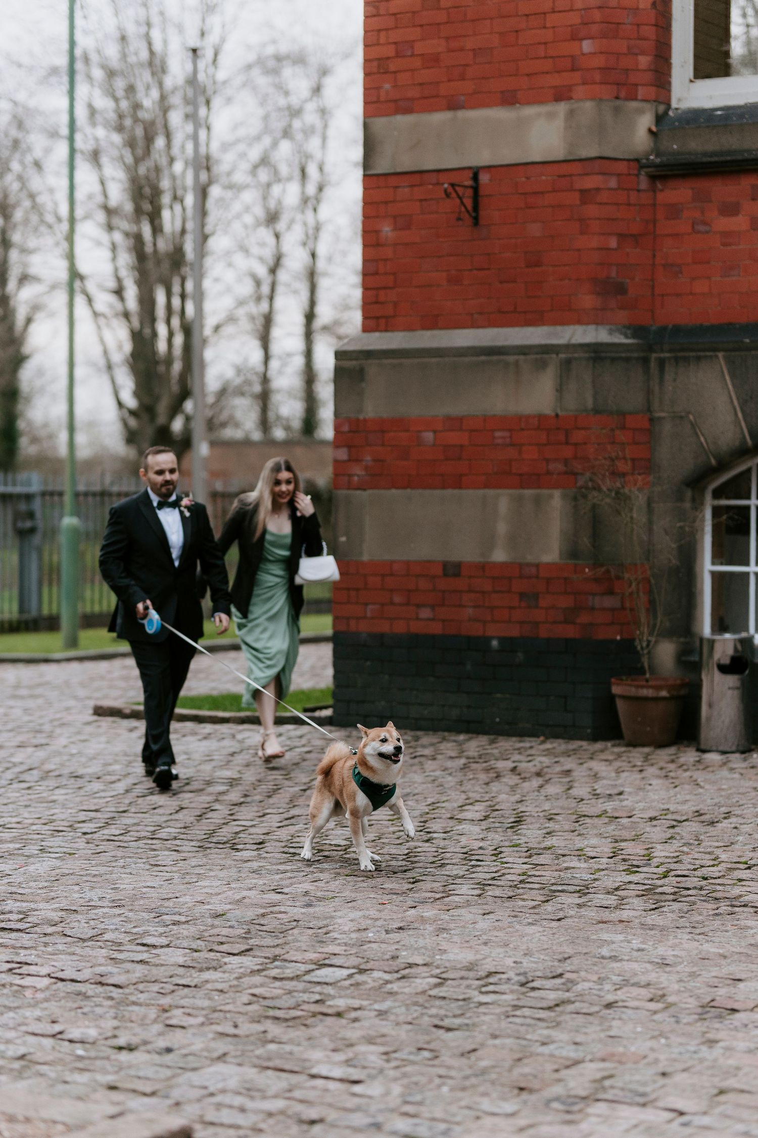 A couple in formal wear walks their Shiba Inu dog on cobblestone pavement near a red brick building.
