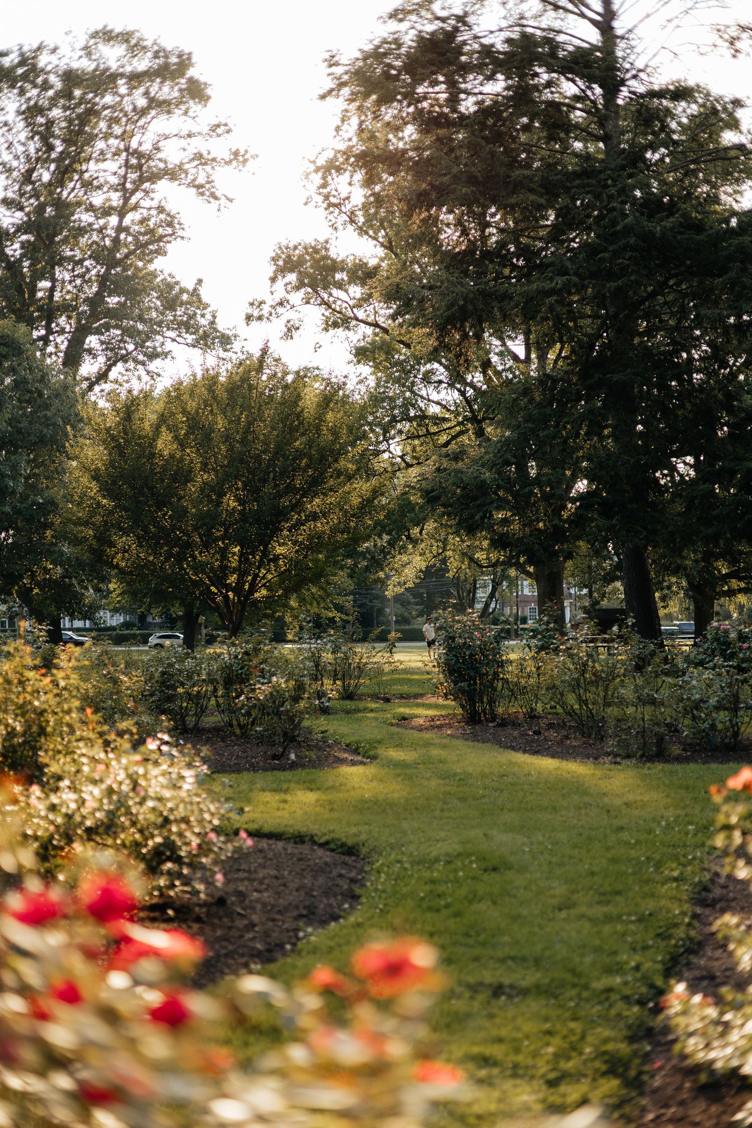 Wedding photographer,Pennsylvania photographer,couples photos,family photography,PA wedding photography, lancaster, timeless, documentary