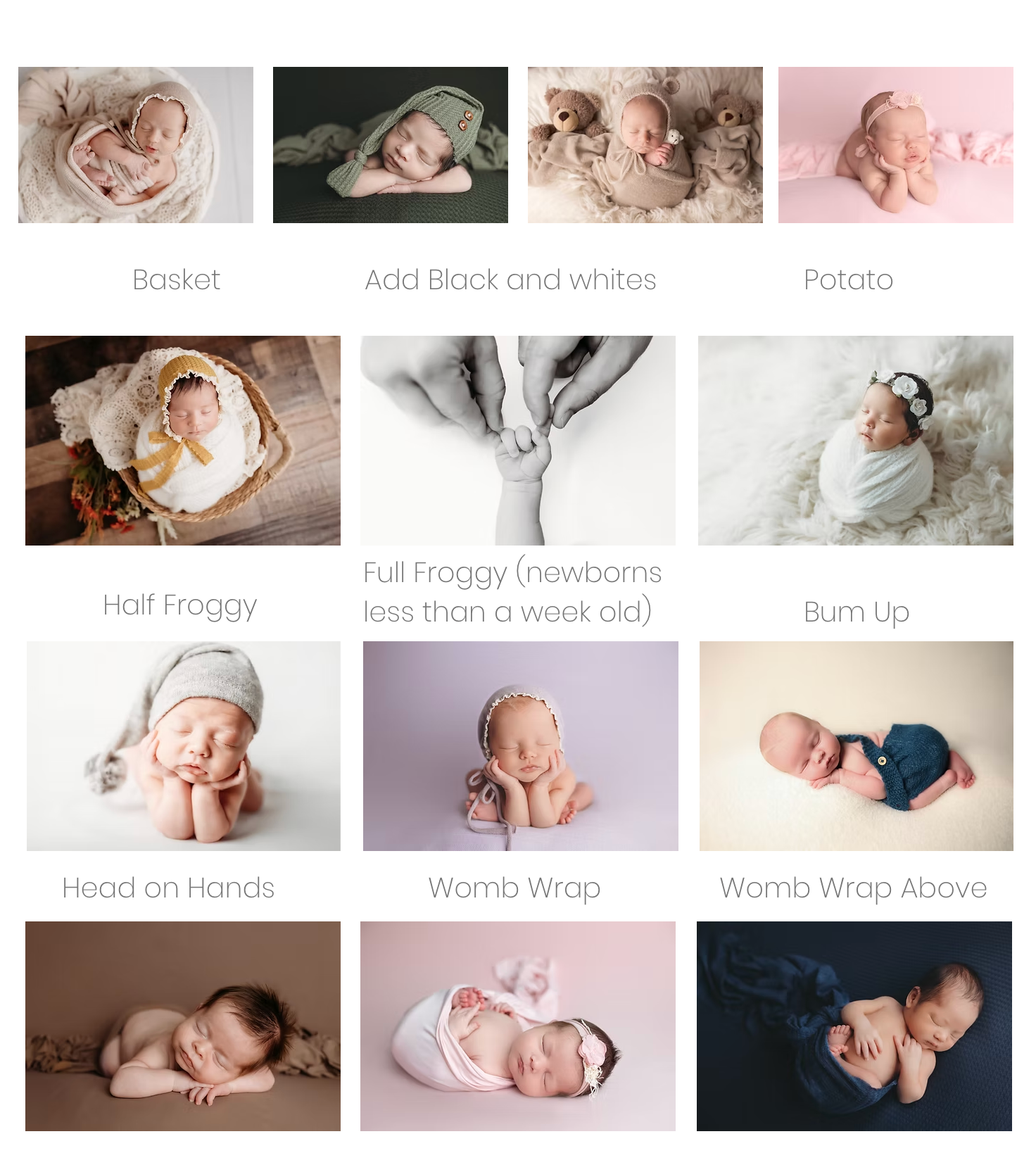 Newborn photography pose guide showing basket, potato, froggy, womb wrap, and head on hands poses.