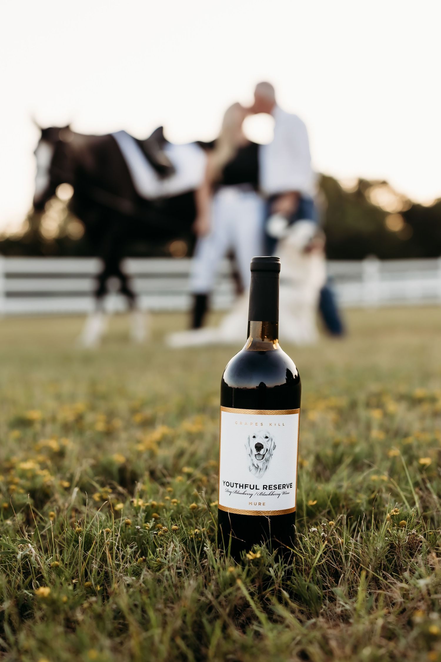 A bottle of Youthful Reserve red wine sits in a grassy field with a couple and horse blurred in the background.