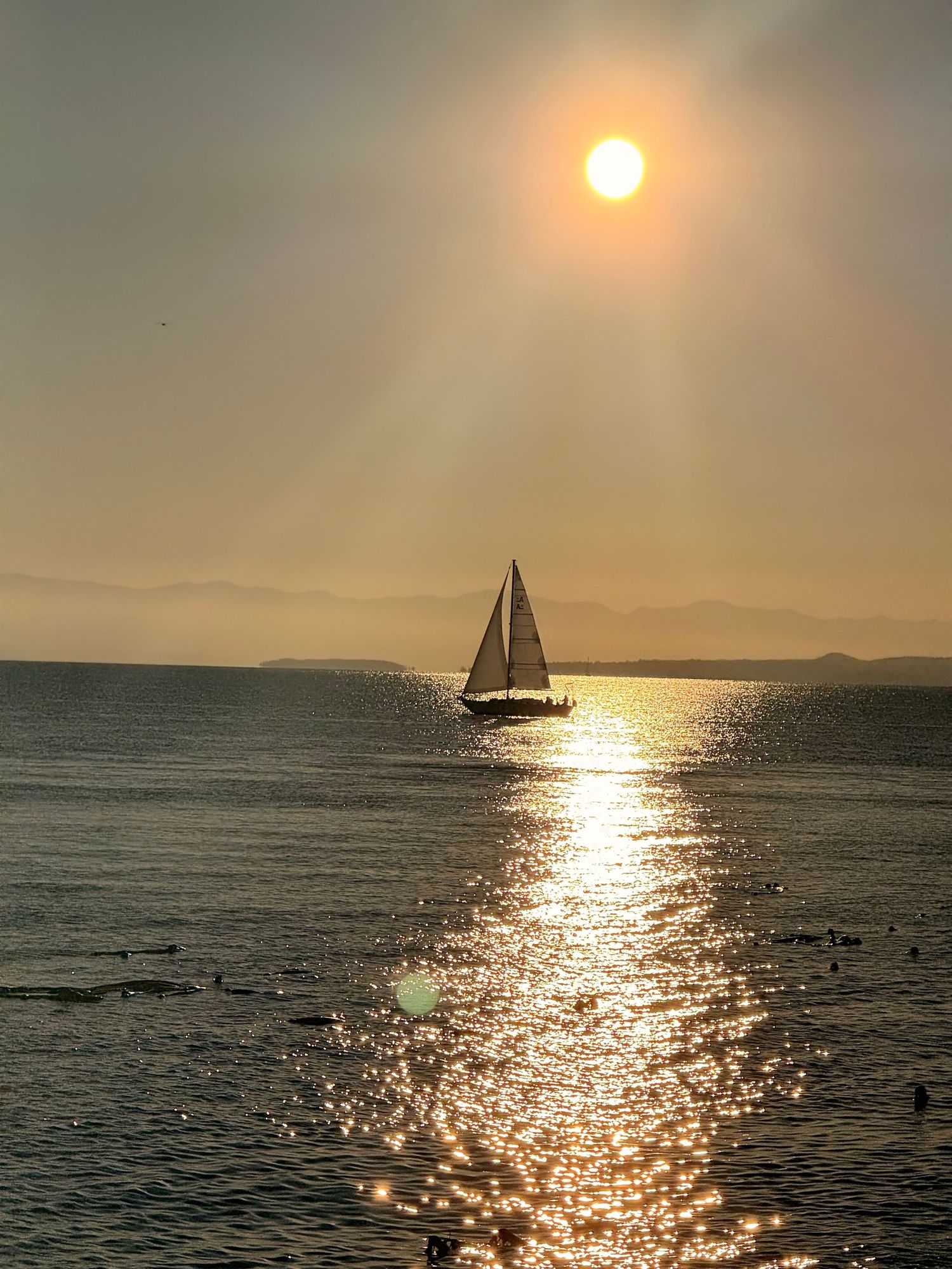 Sail into the sun