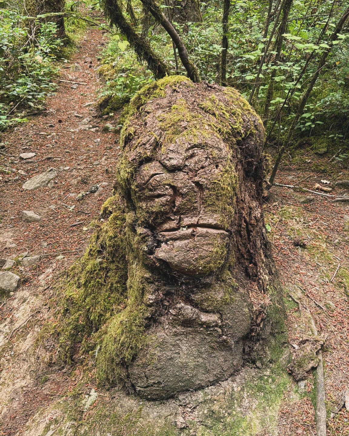Philospher of the woods
