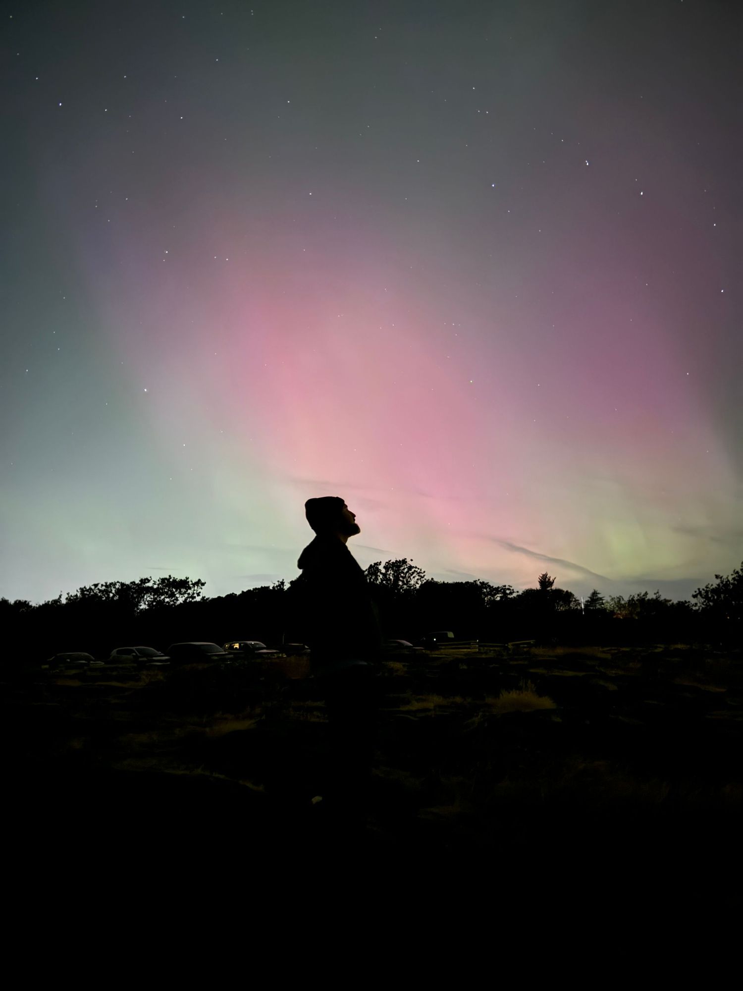 Self potriat and northern lights