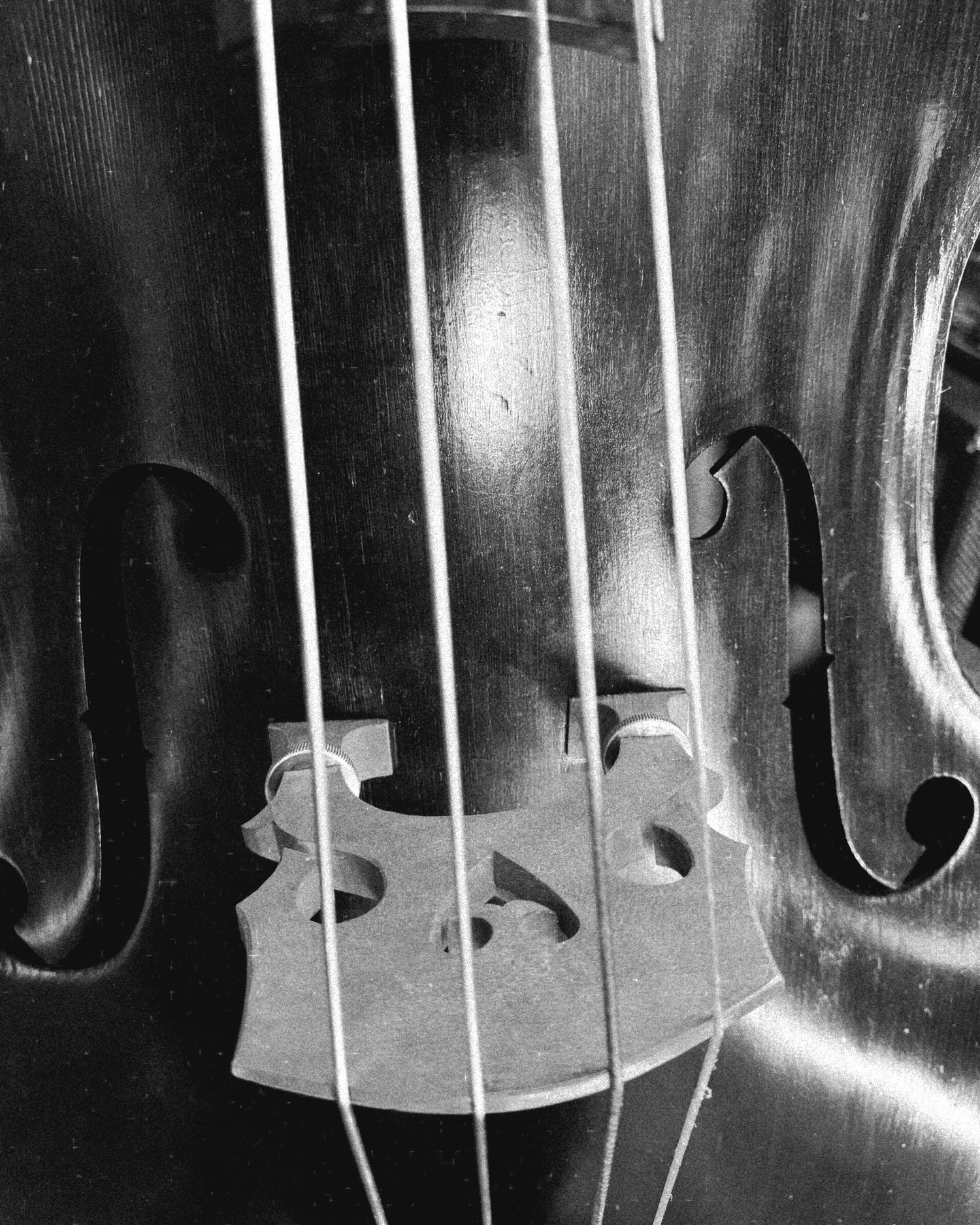 Bass