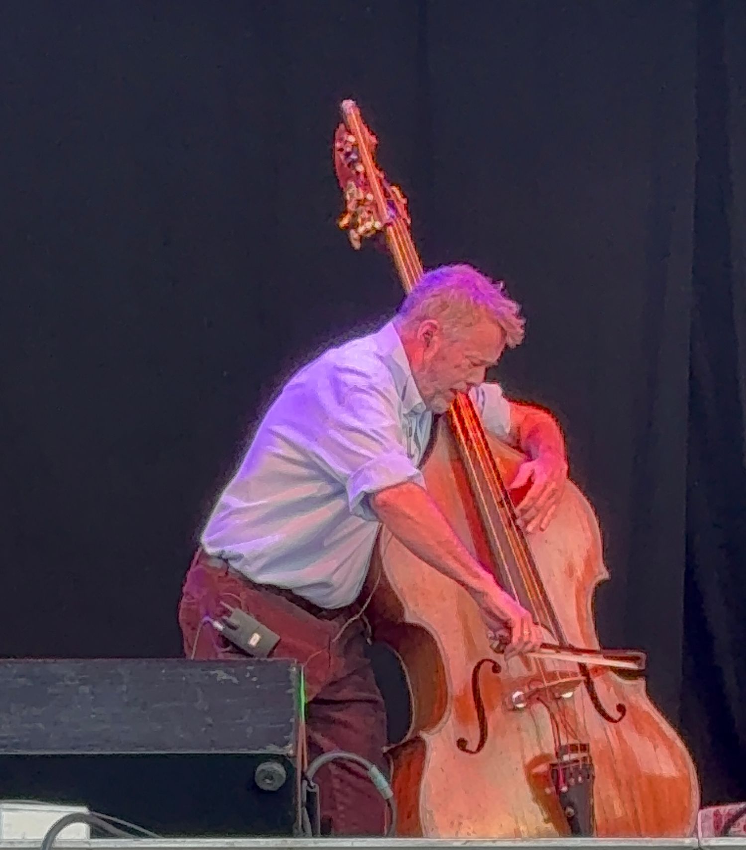 Edgar Mayer at Vancouver Island Music Fest