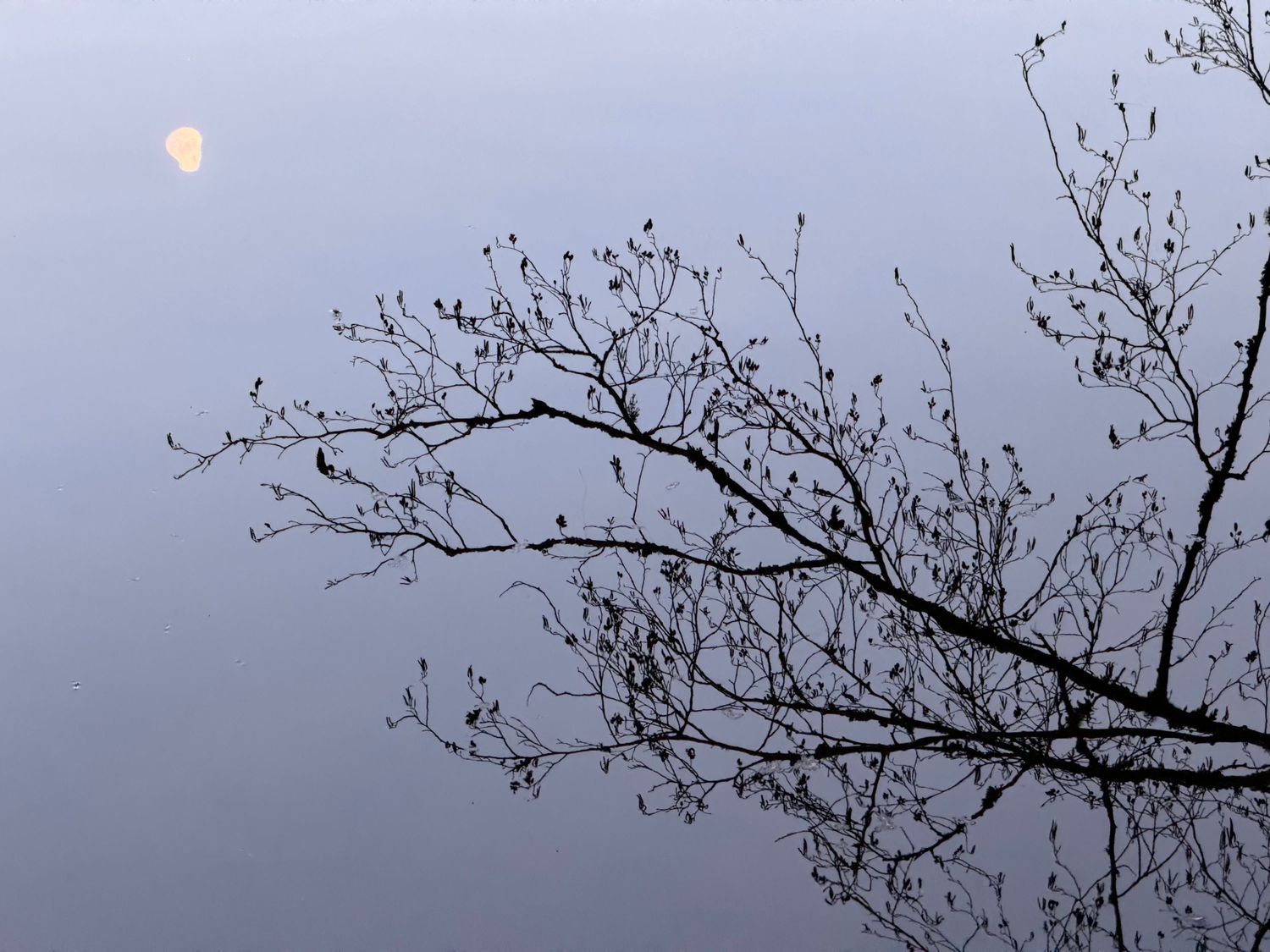 Moon reflection