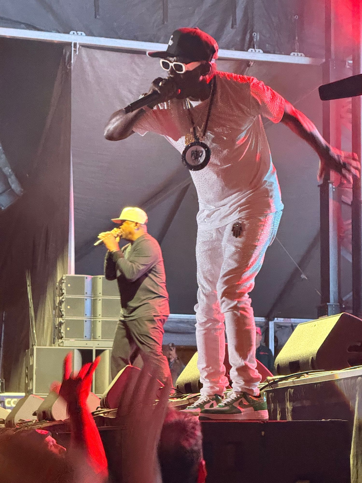 Public Enemy at Rifflandia