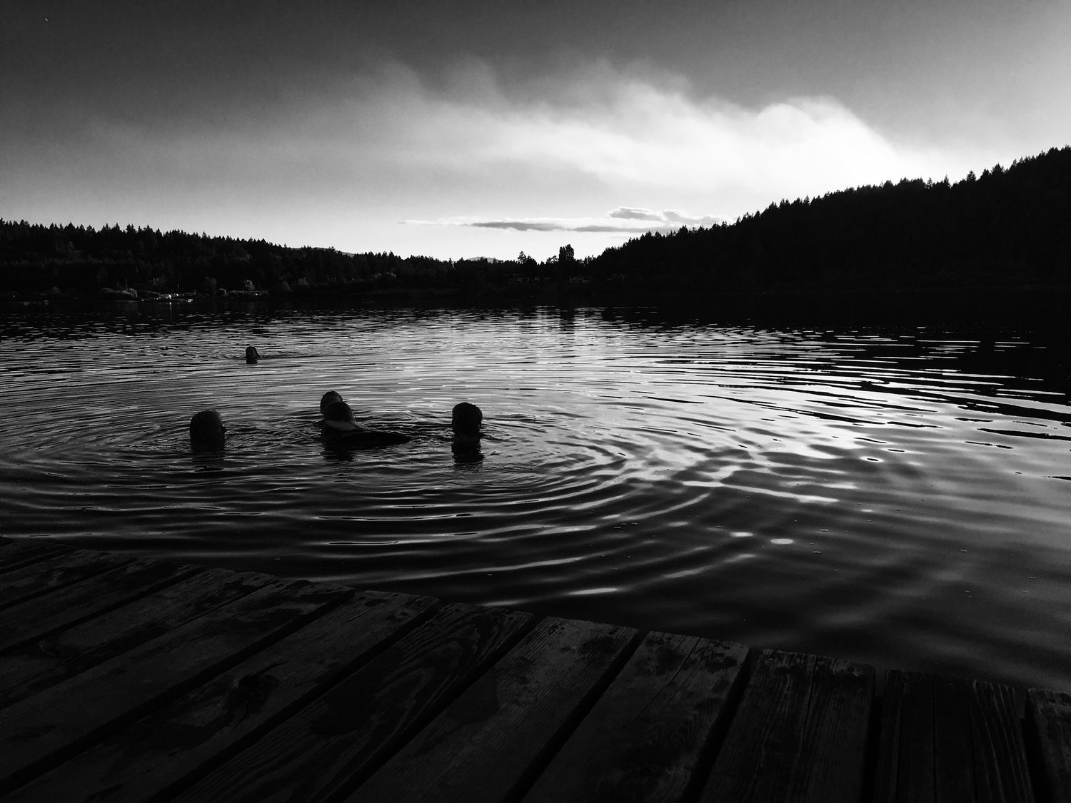 Swimming in the lake