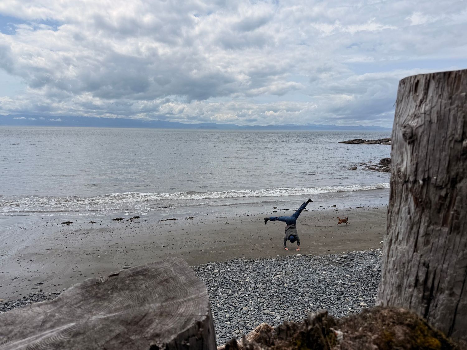 Cartwheel with dog