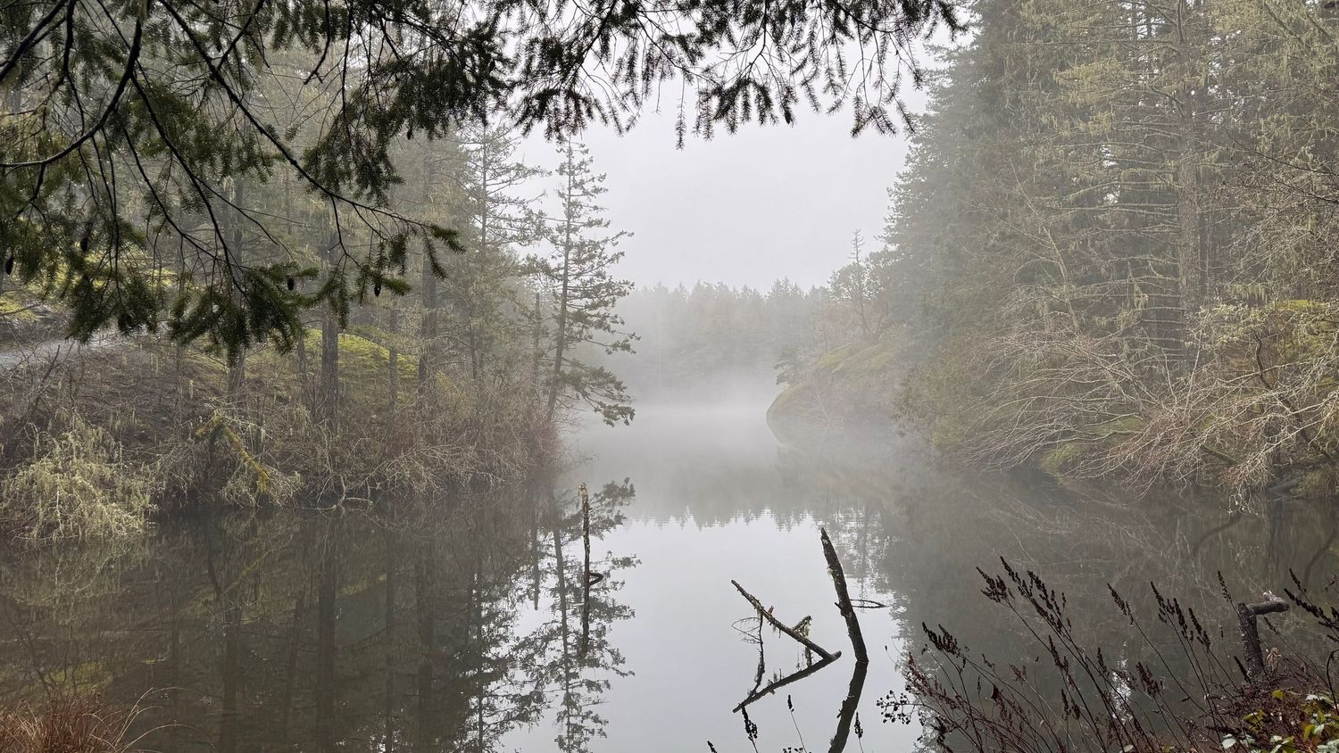 Thetis mist