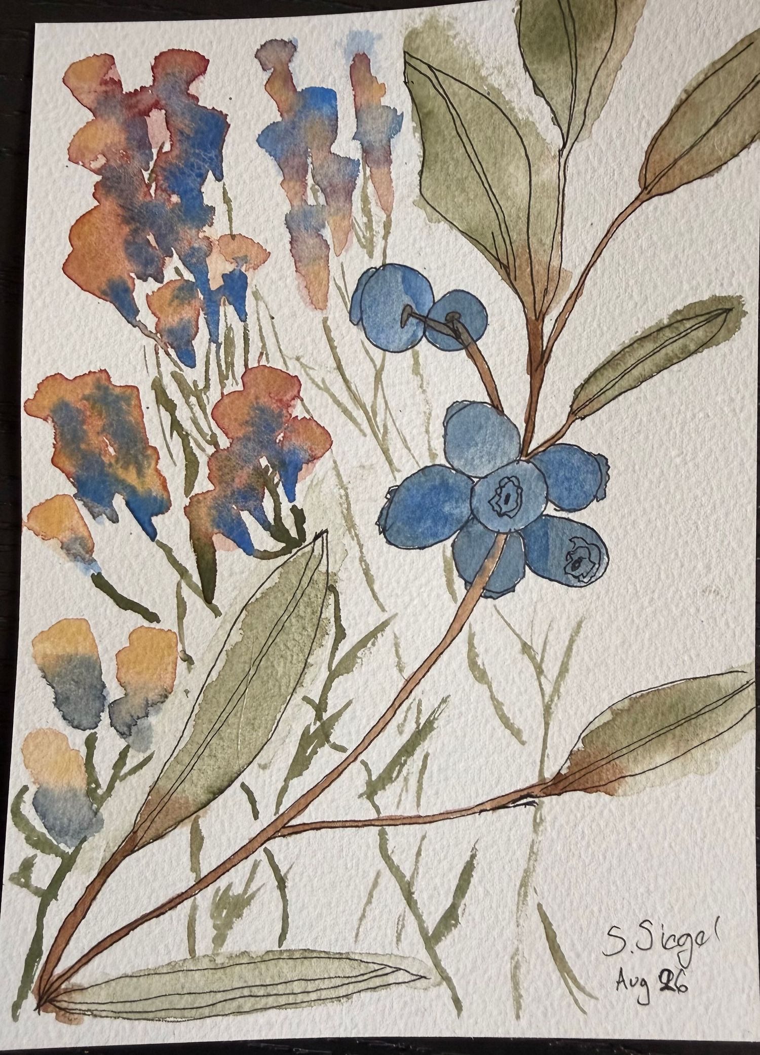 Watercolour Blueberries and Flowers