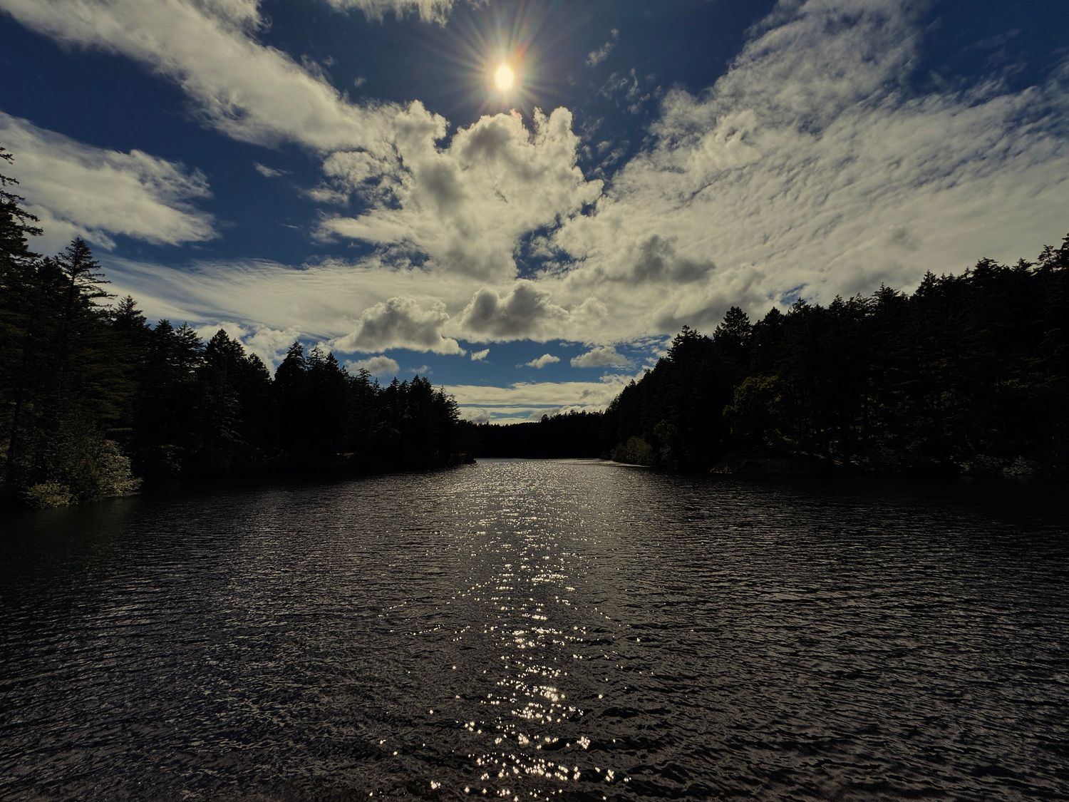 thetis lake and light