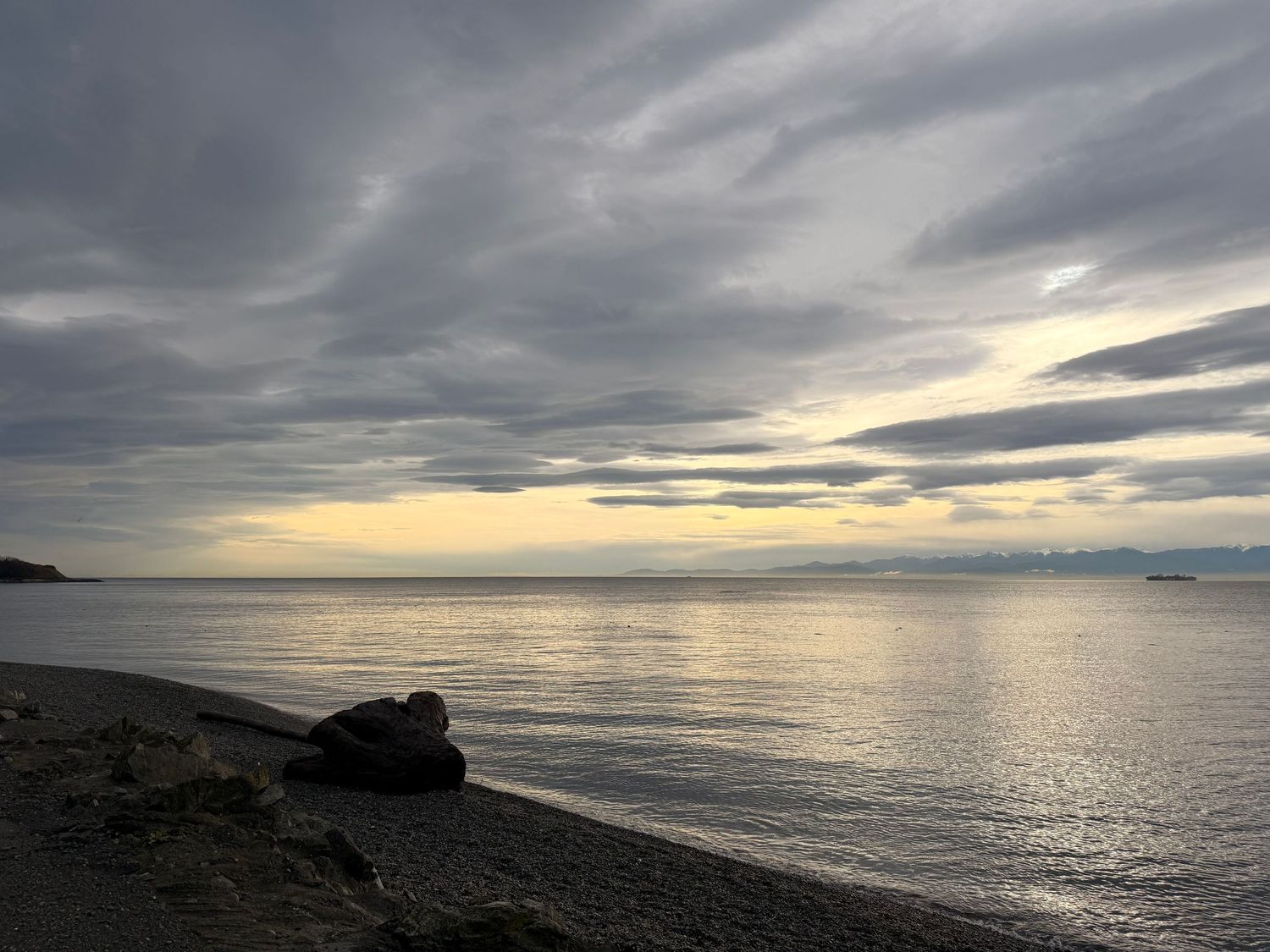The ocean