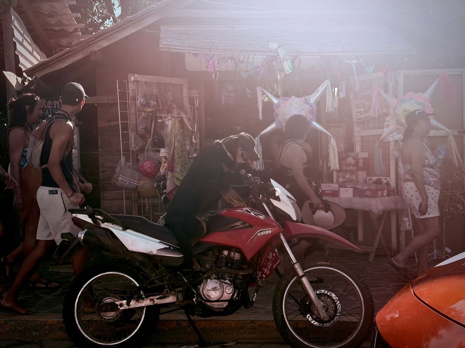 Mexican Dog on a motorcycle, taken out of taxi window