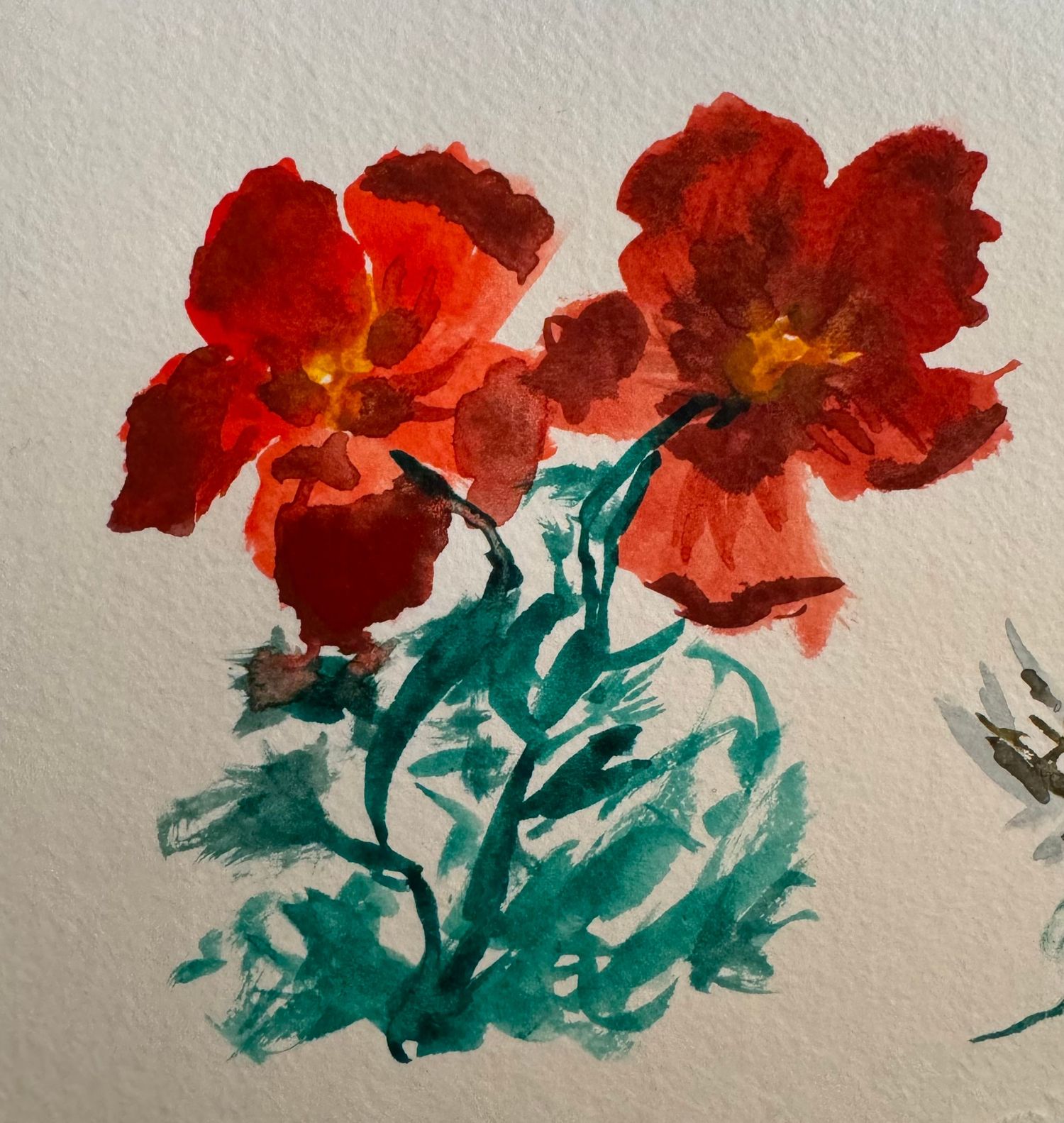 Flowers 1