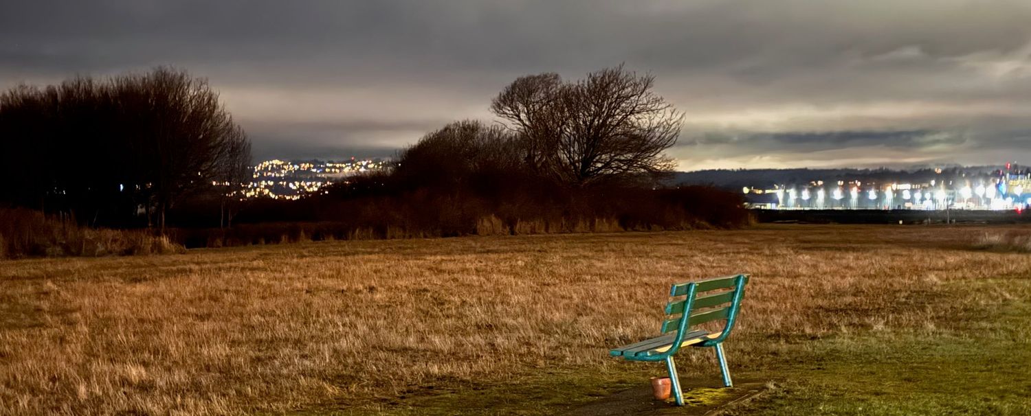 Lonly bench