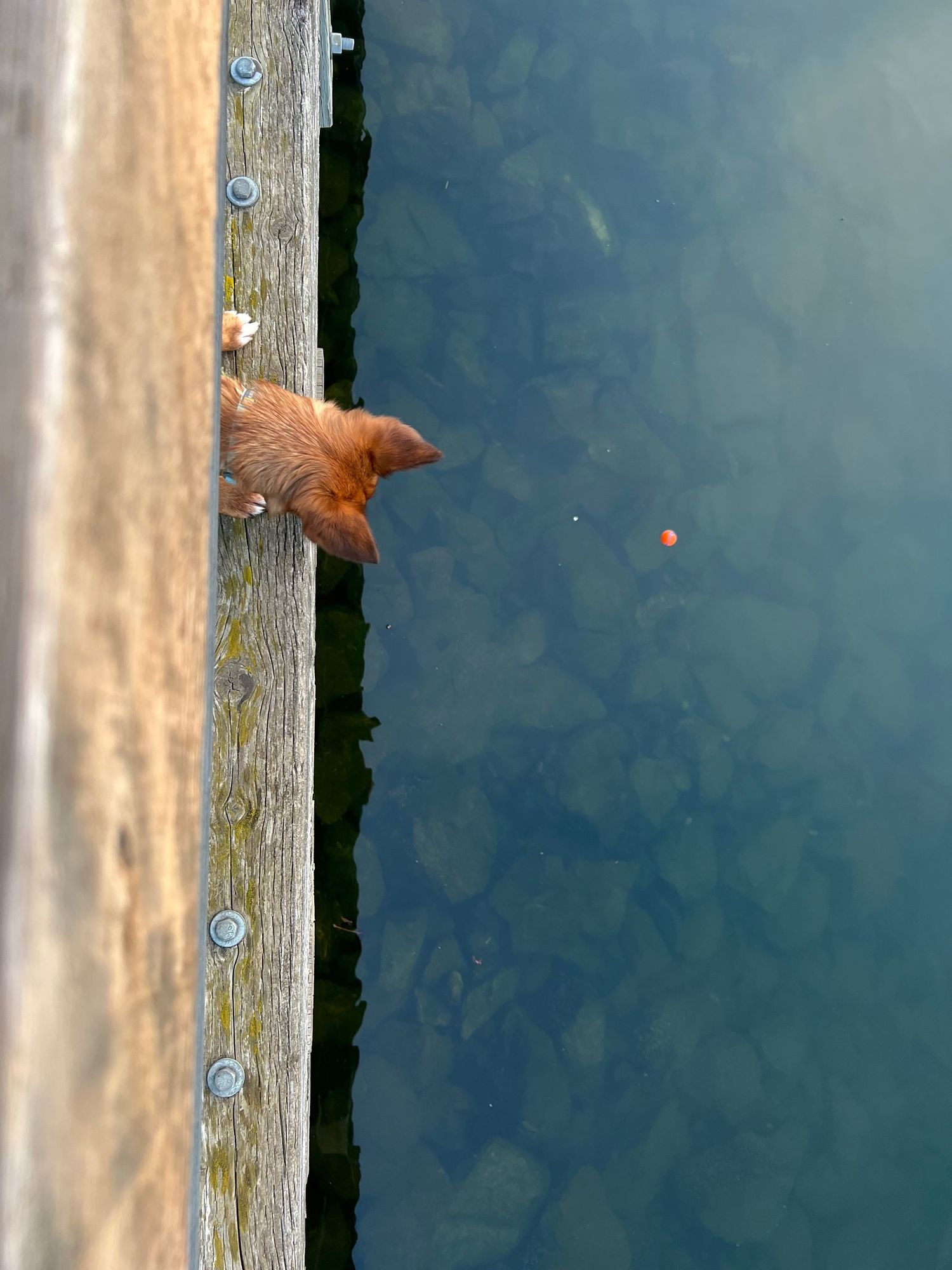 Lost ball