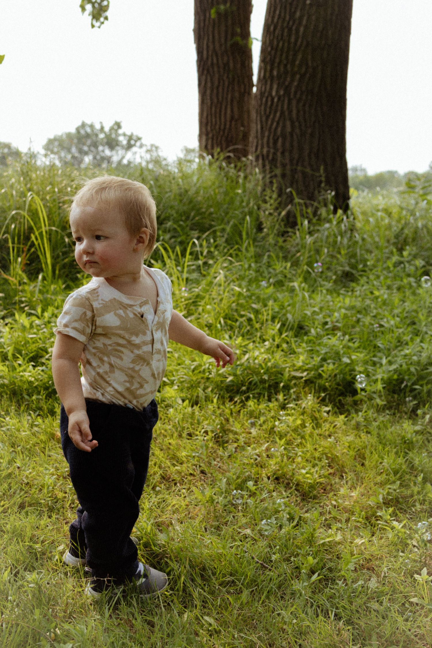 Toddler in beige tie-dye shirt and black pants standing on green grass near a large tree outdoors.