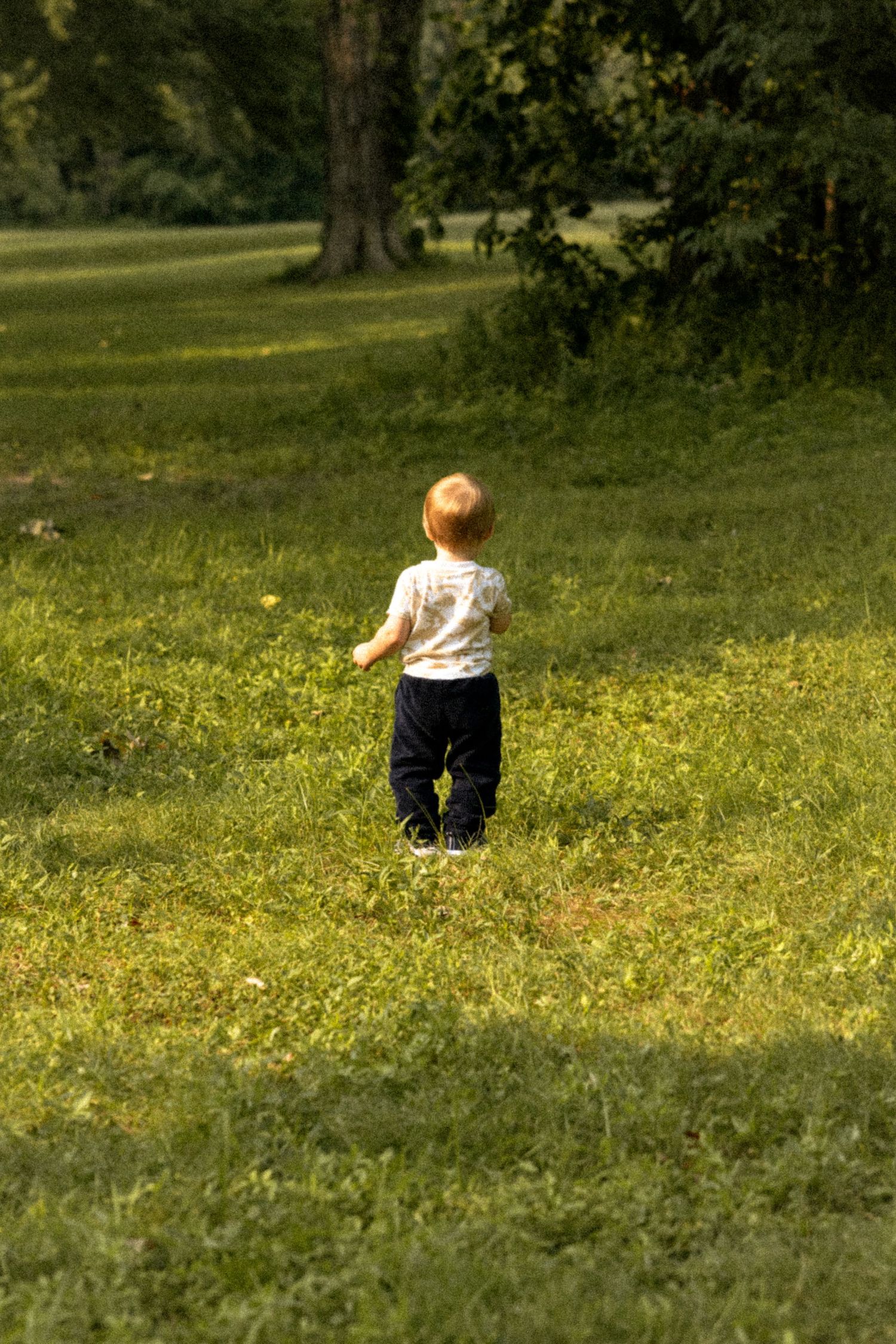 Young toddler walking alone across a sunny green grassy park toward shaded trees.