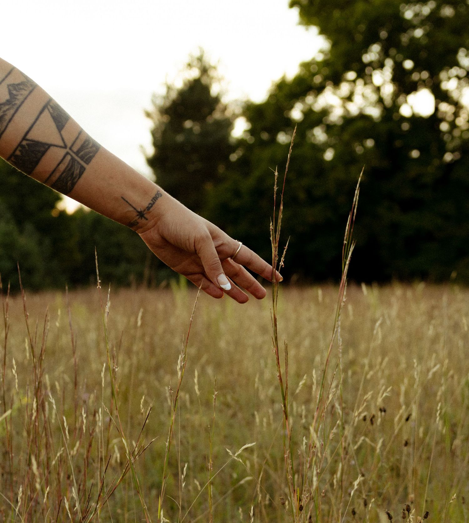 Tattooed arm reaching through tall golden grass in a field with green trees in the background.