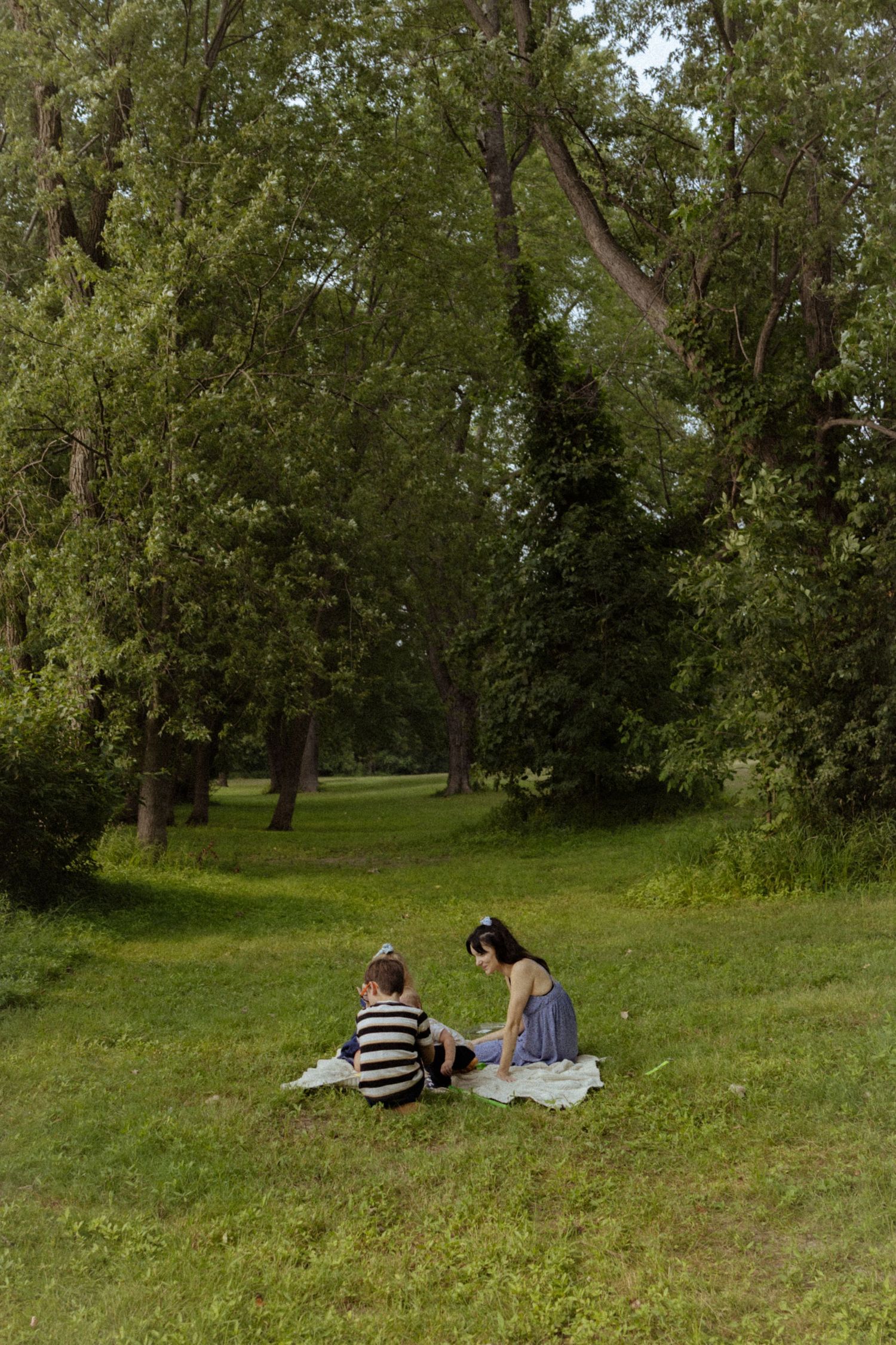 Family enjoying a peaceful outdoor picnic on a blanket surrounded by lush green trees in a park.