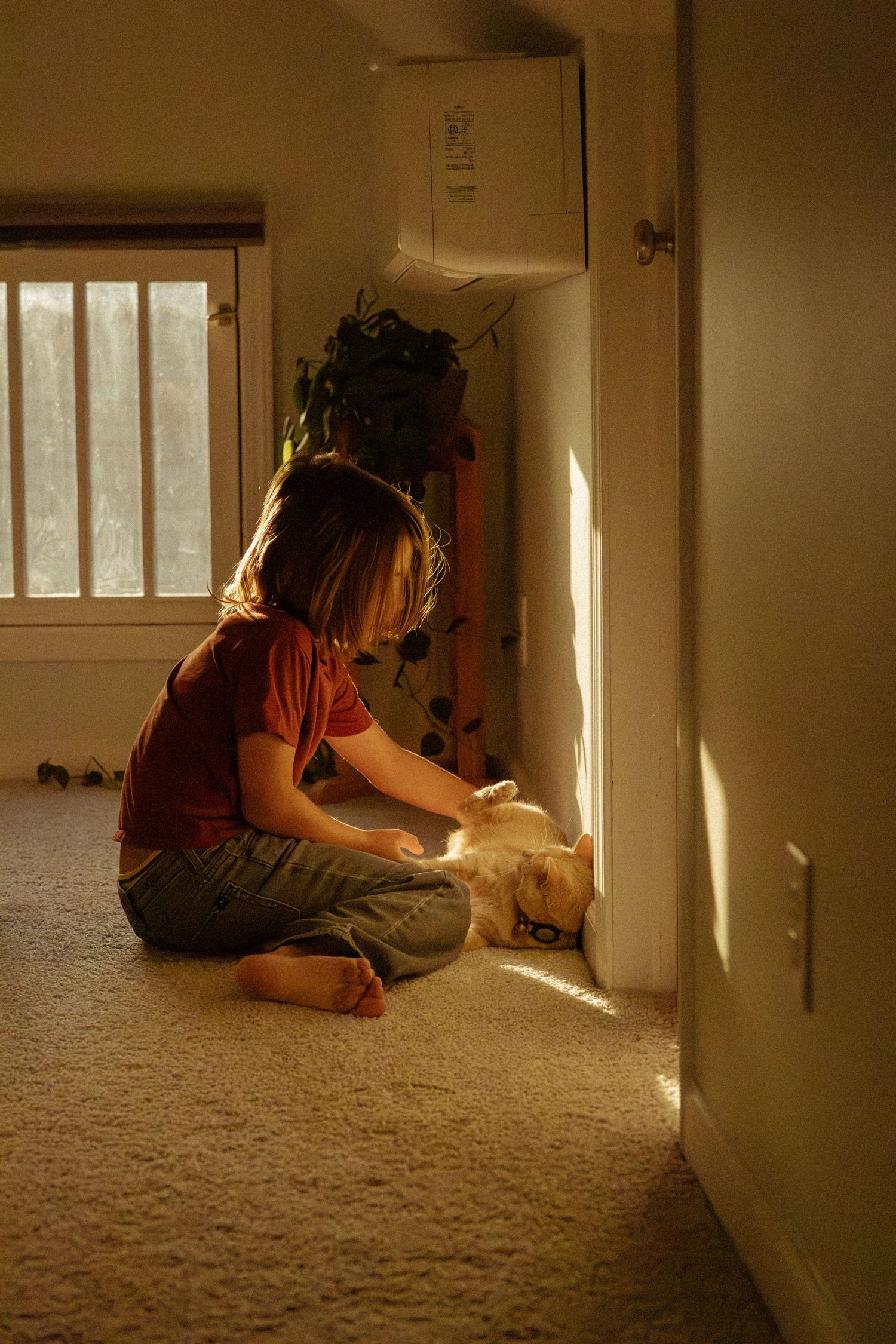 A child in a red shirt sits barefoot on a carpeted floor, gently petting a sleeping dog in warm, golden sunlight.