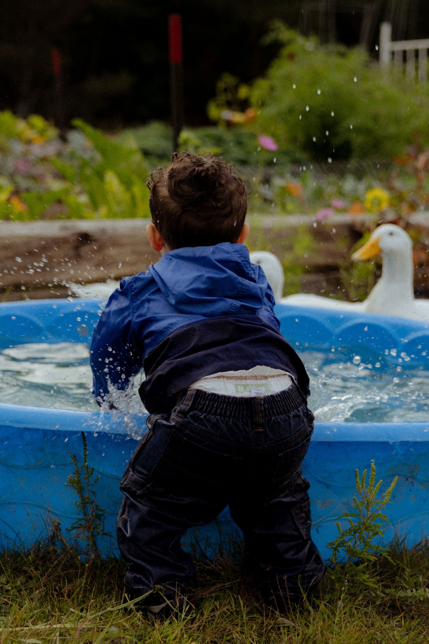 Young boy in blue jacket splashing in a small blue paddling pool with a duck toy in a garden.