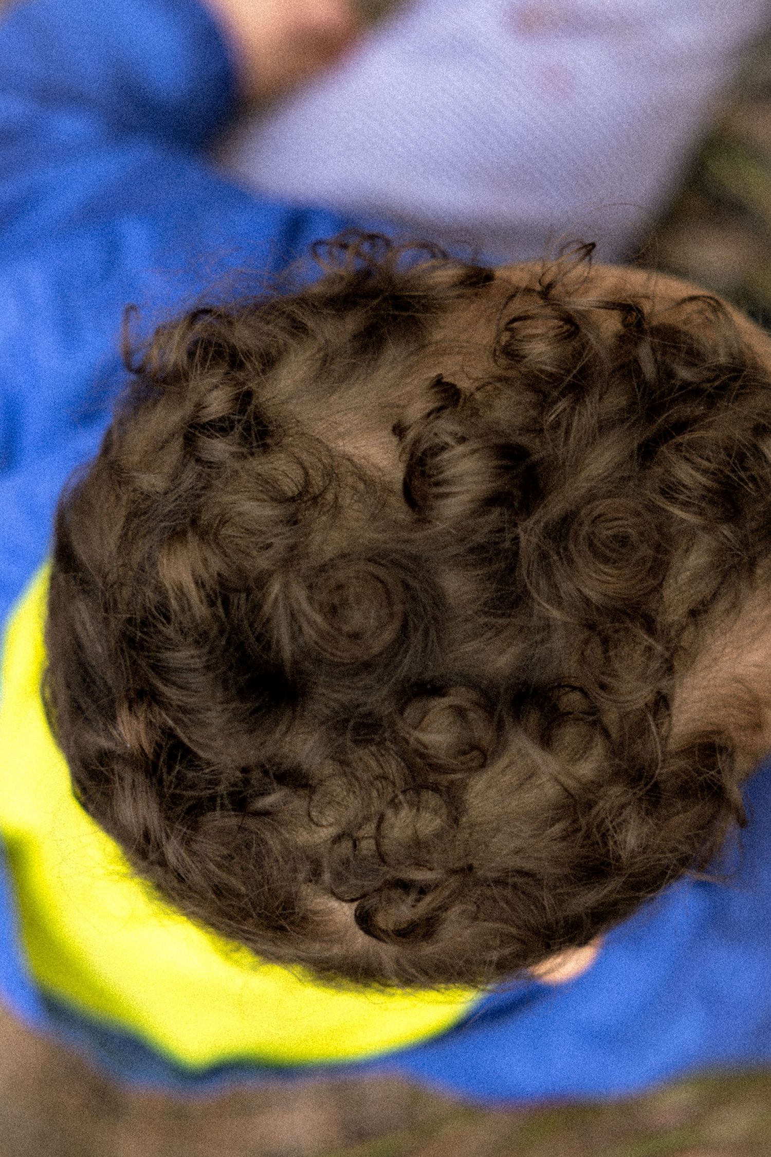 Overhead view of a young child with curly brown hair wearing a yellow and blue jacket outdoors.