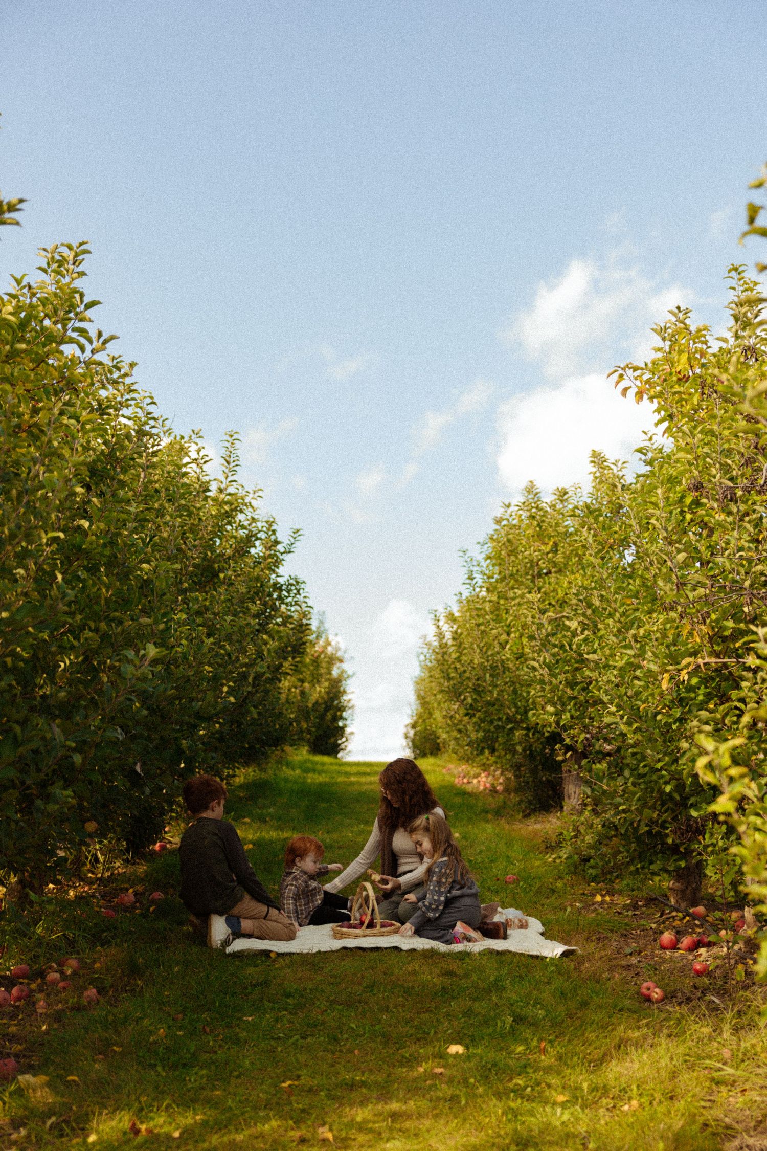 Family enjoying a picnic on a blanket between rows of apple trees in an orchard.