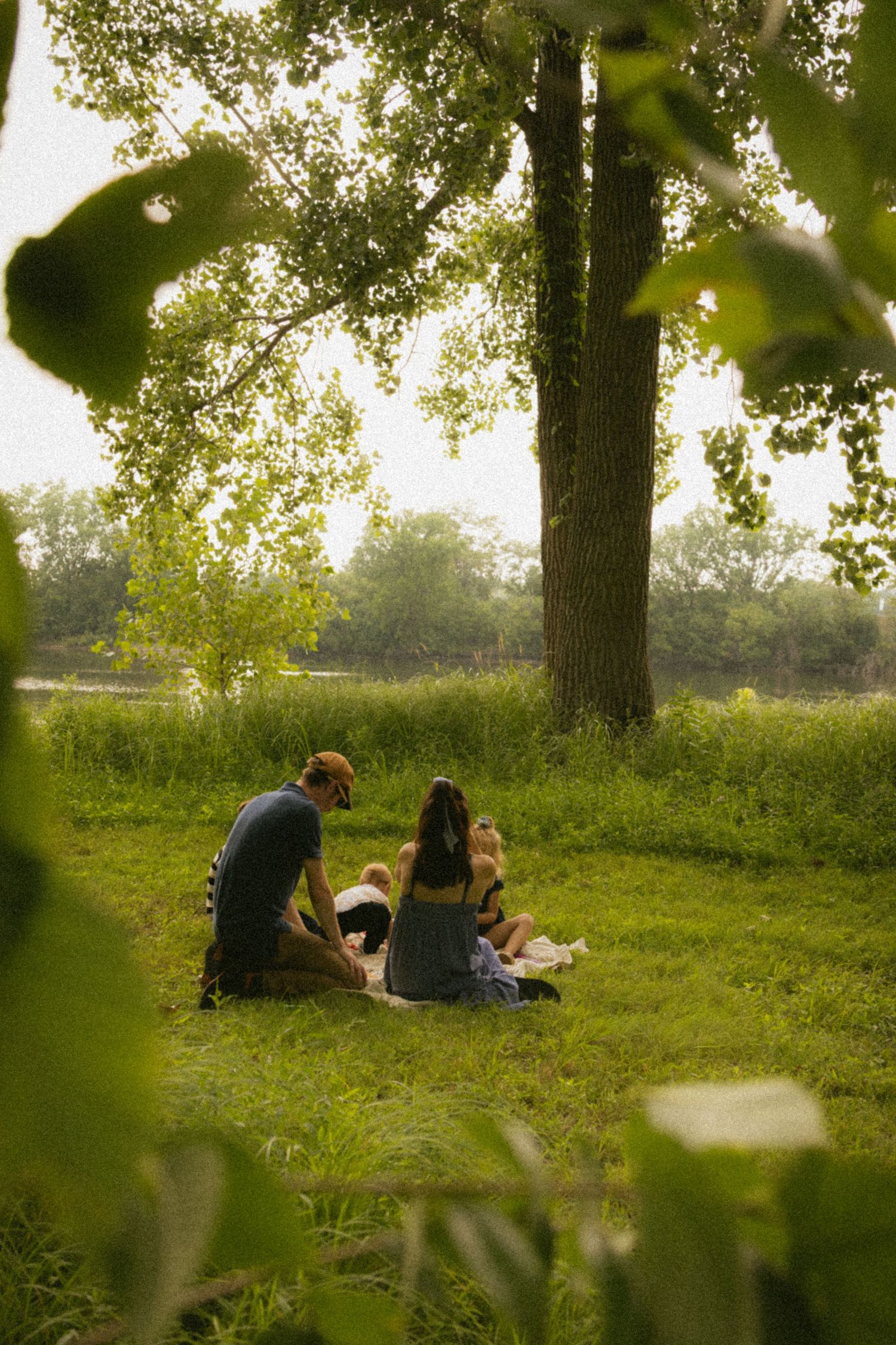 Family enjoying a peaceful picnic on lush green grass under a large tree in a scenic park setting.