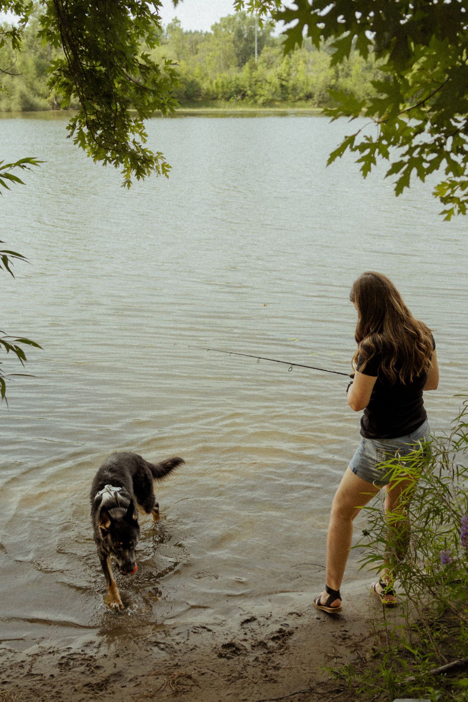 Young woman fishing at a lake shore while her black dog wades in the shallow water surrounded by lush green trees.