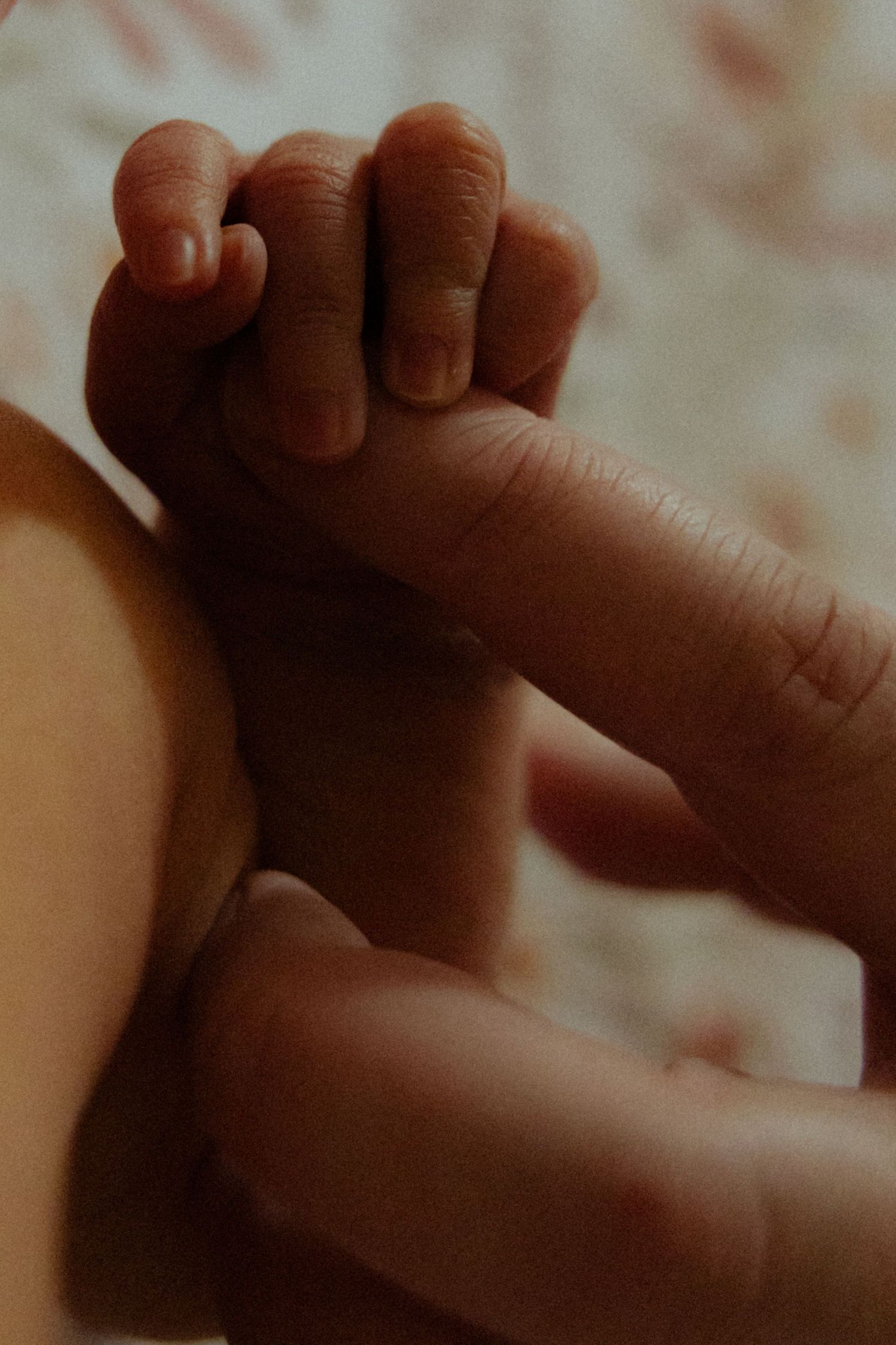 Close-up of a newborn baby grasping an adult finger, symbolizing new life and bonding.