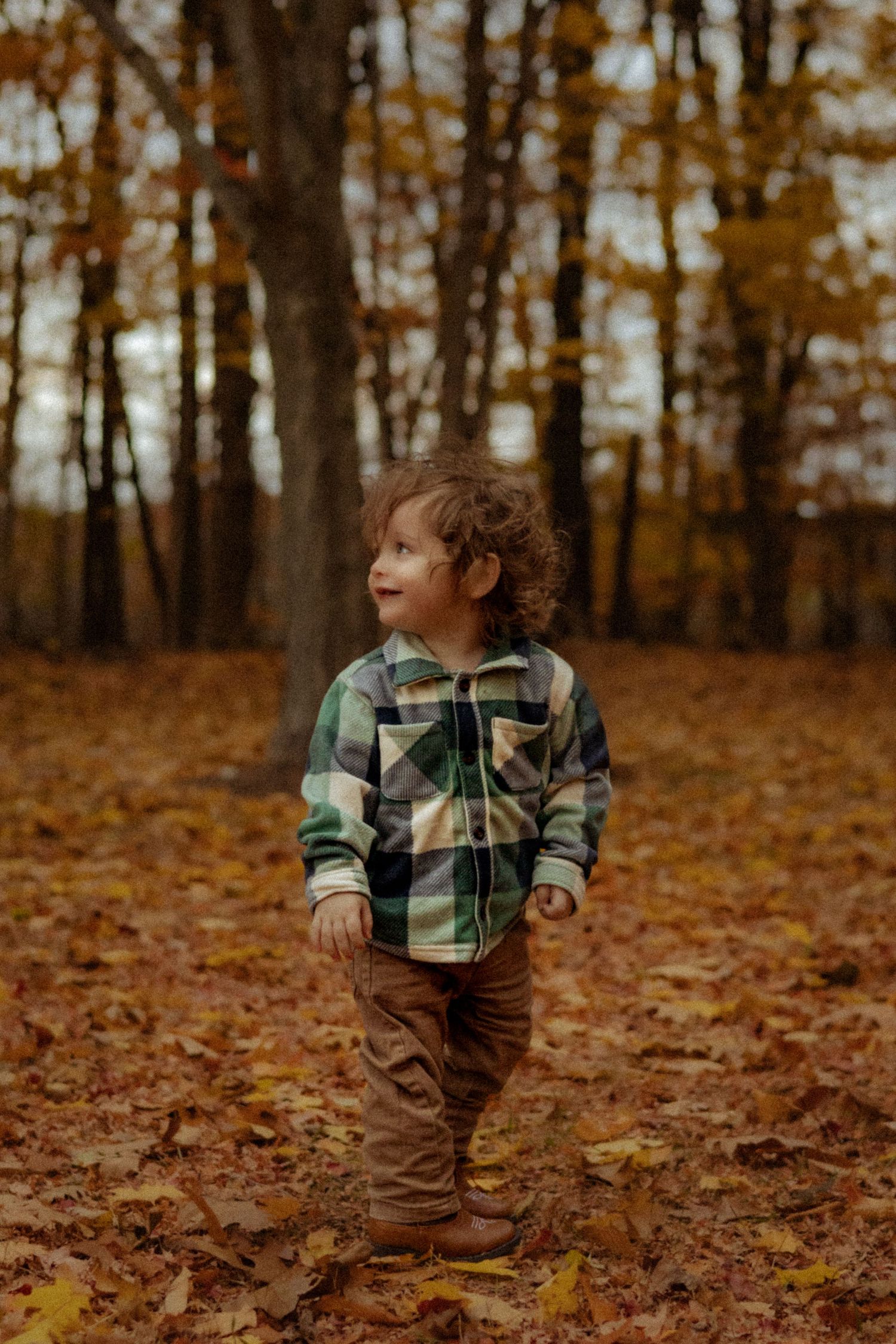 A curly-haired toddler in a plaid jacket walks through an autumn forest covered in fallen orange leaves.
