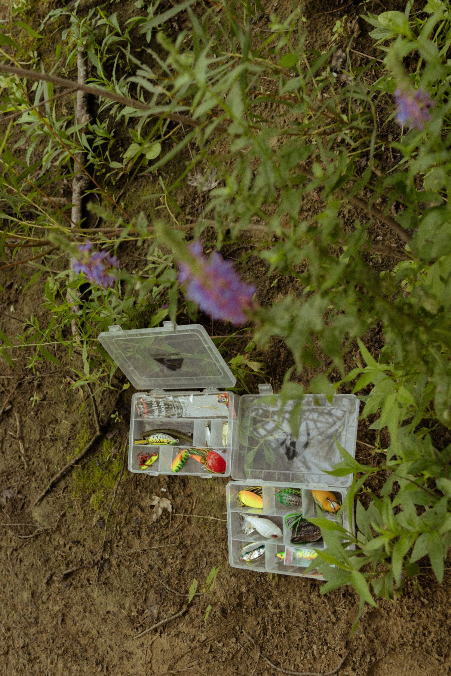 Two open plastic fishing tackle boxes with colorful lures sit on a dirt hillside surrounded by green plants and purple flowers.