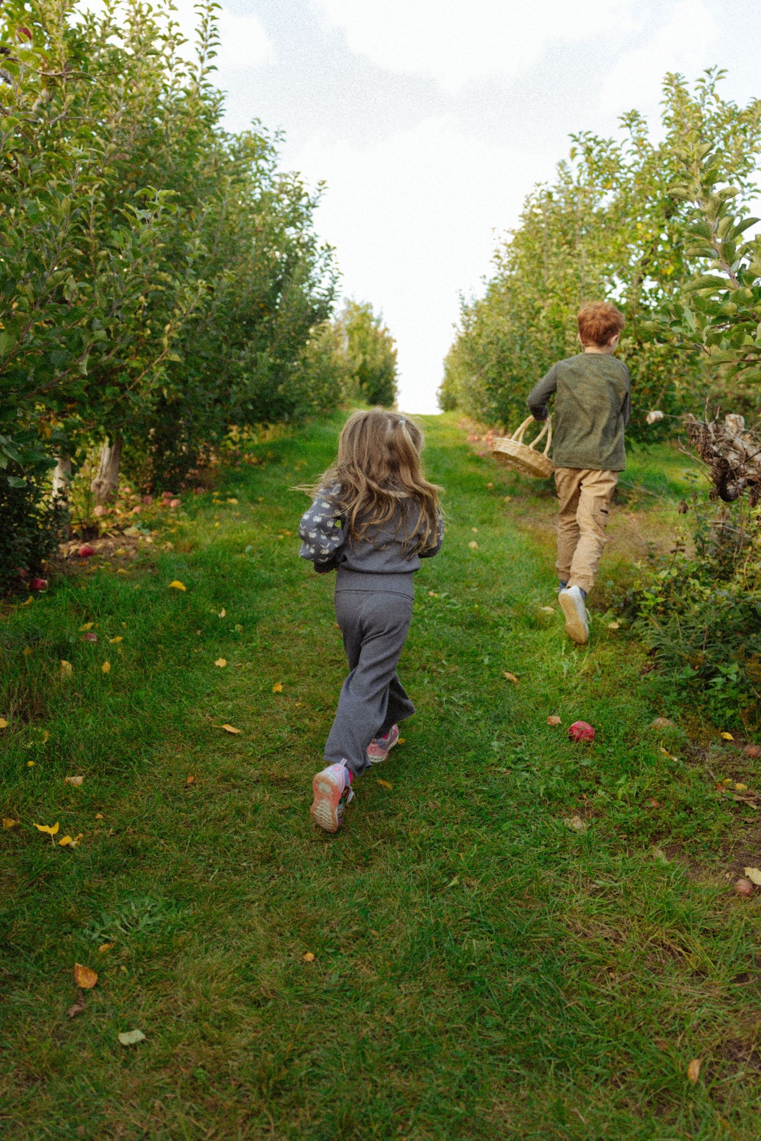Two children running through a lush green apple orchard, girl with long hair and boy carrying a basket.