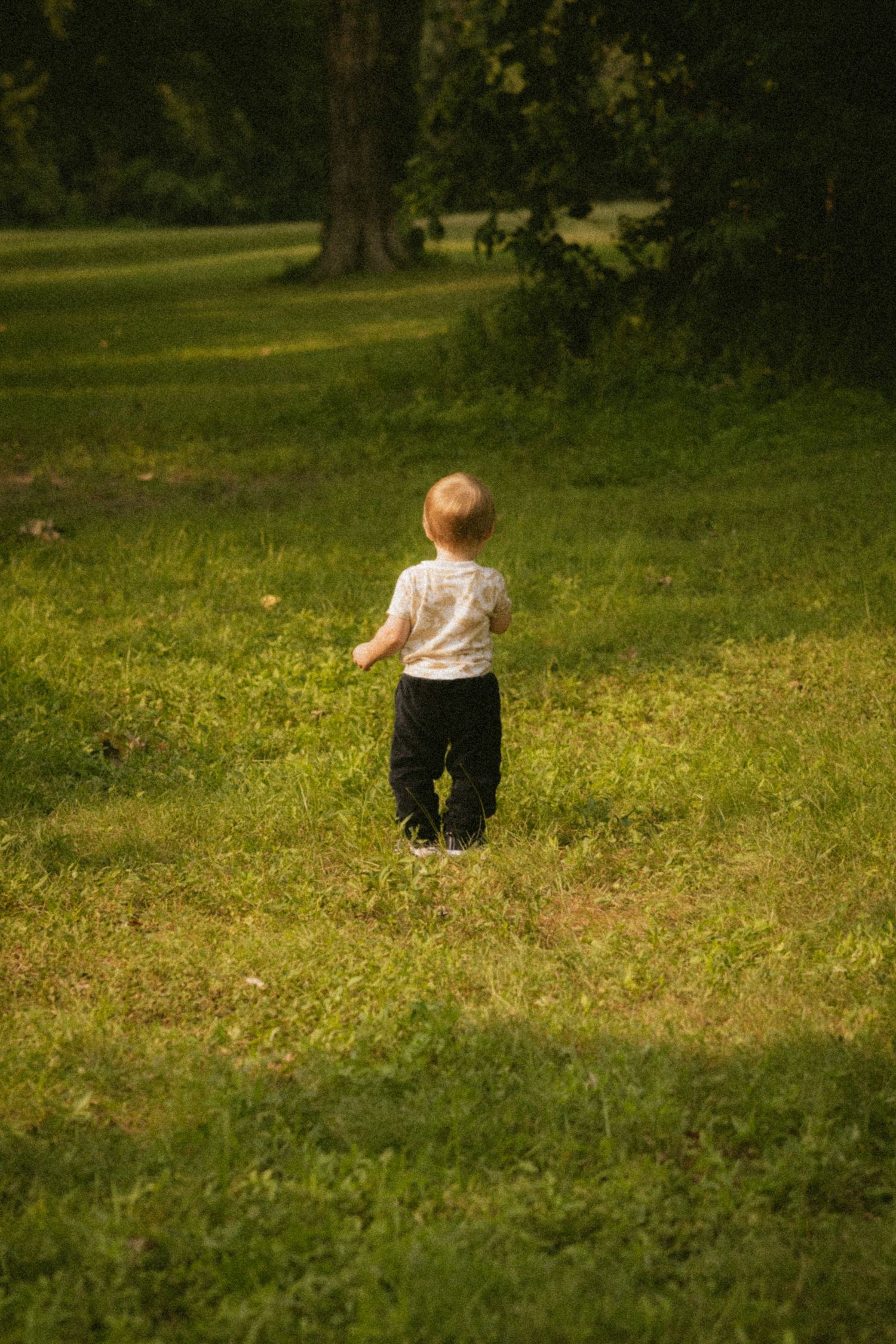 A toddler in a white shirt and black pants walks alone through a lush green grassy park toward trees.