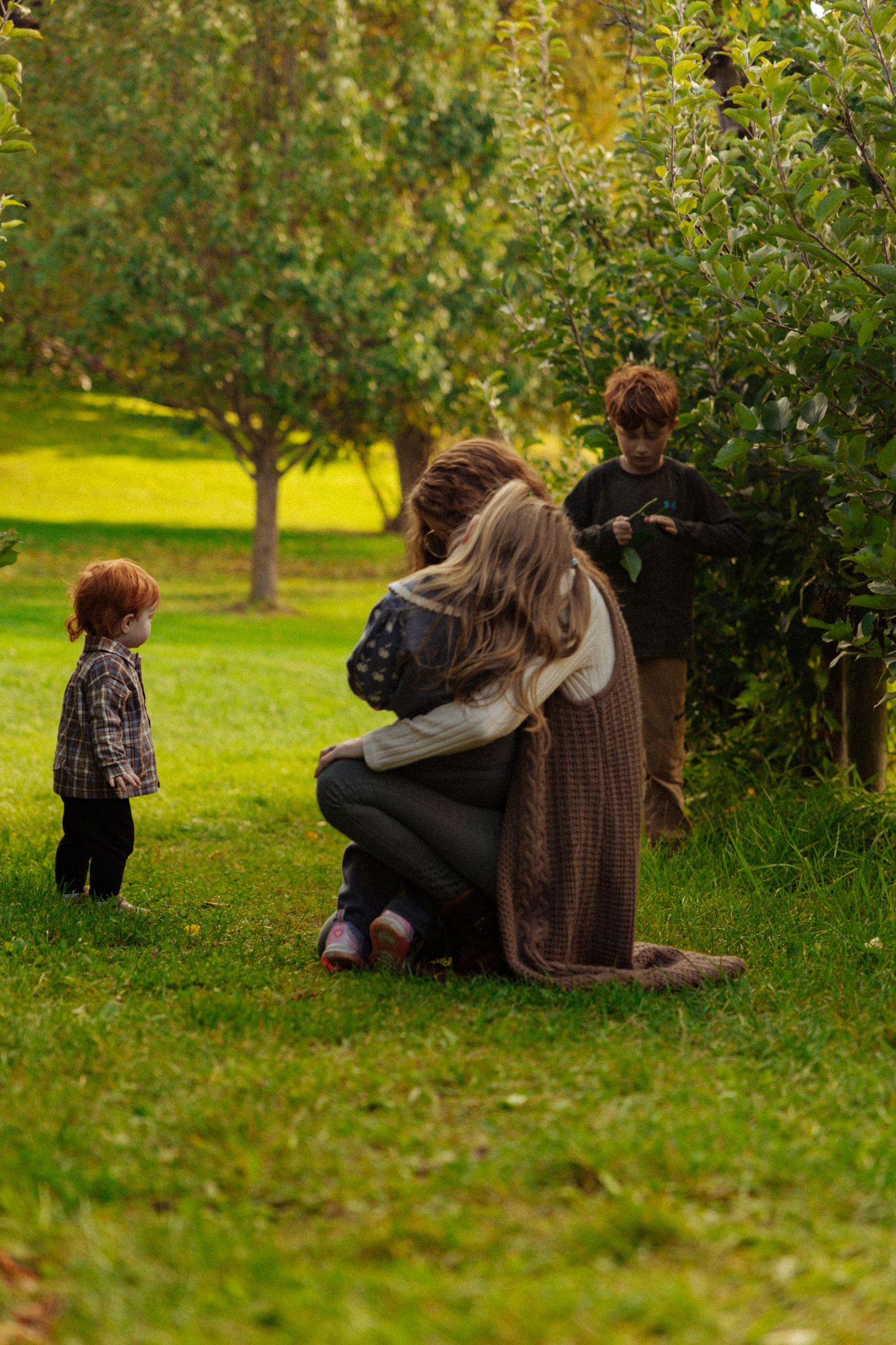 Family with red-haired children enjoying a sunny day outdoors in a lush green apple orchard.