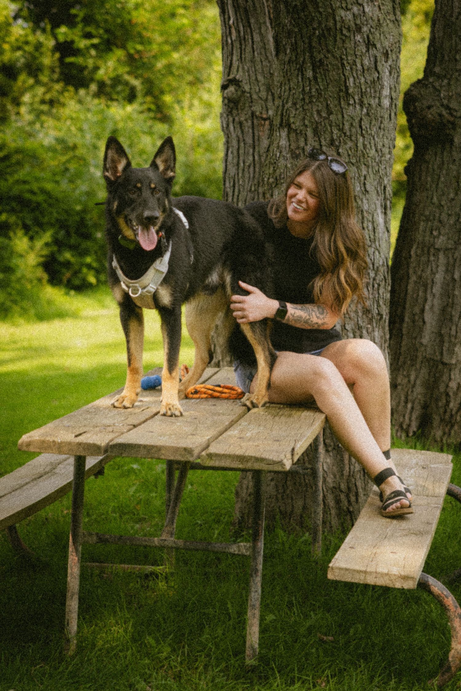 Woman with tattoos sits on a picnic table with a large German Shepherd dog in a lush green park.