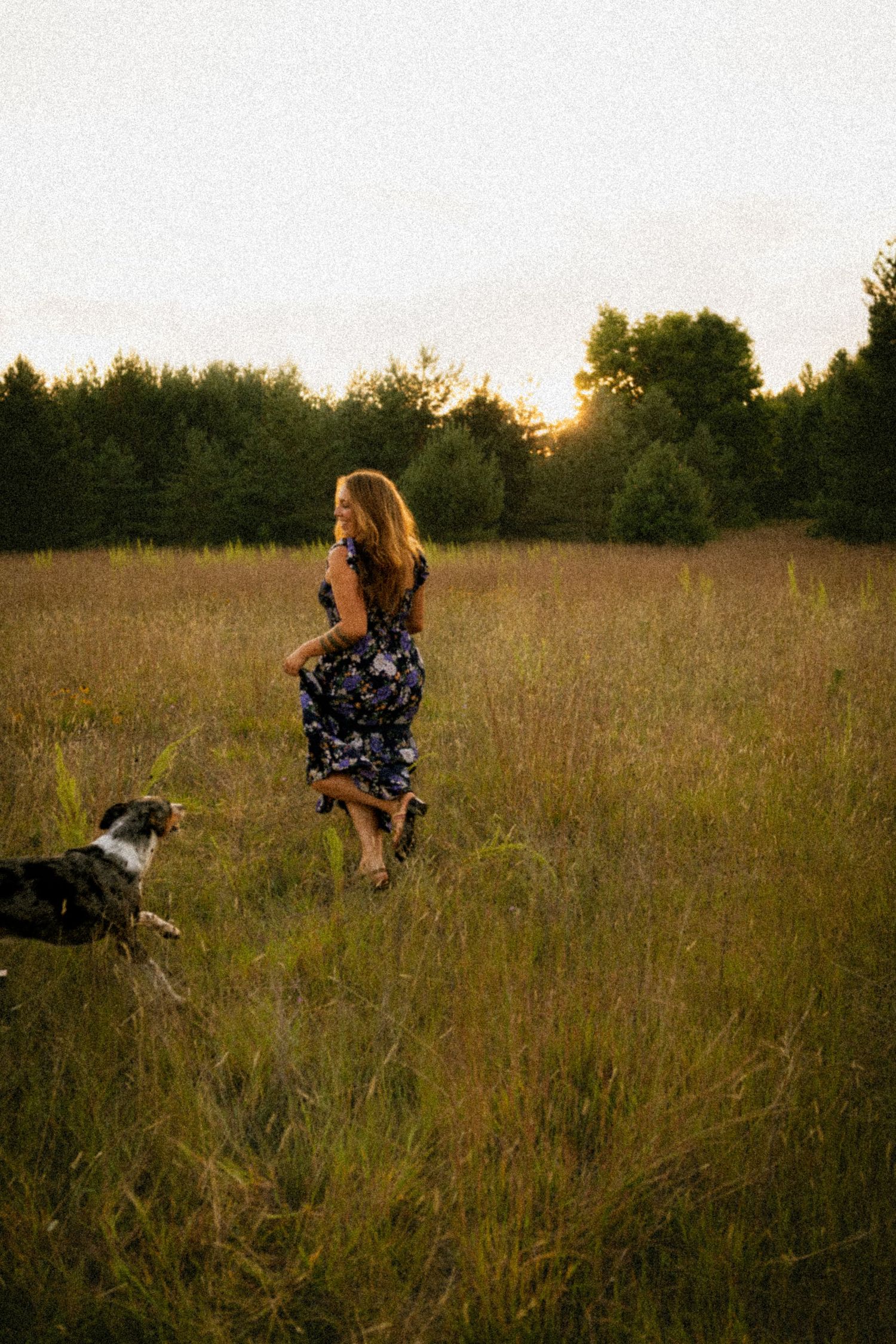 Woman in floral dress walking with her dog through a golden meadow at sunset with green trees in the background.