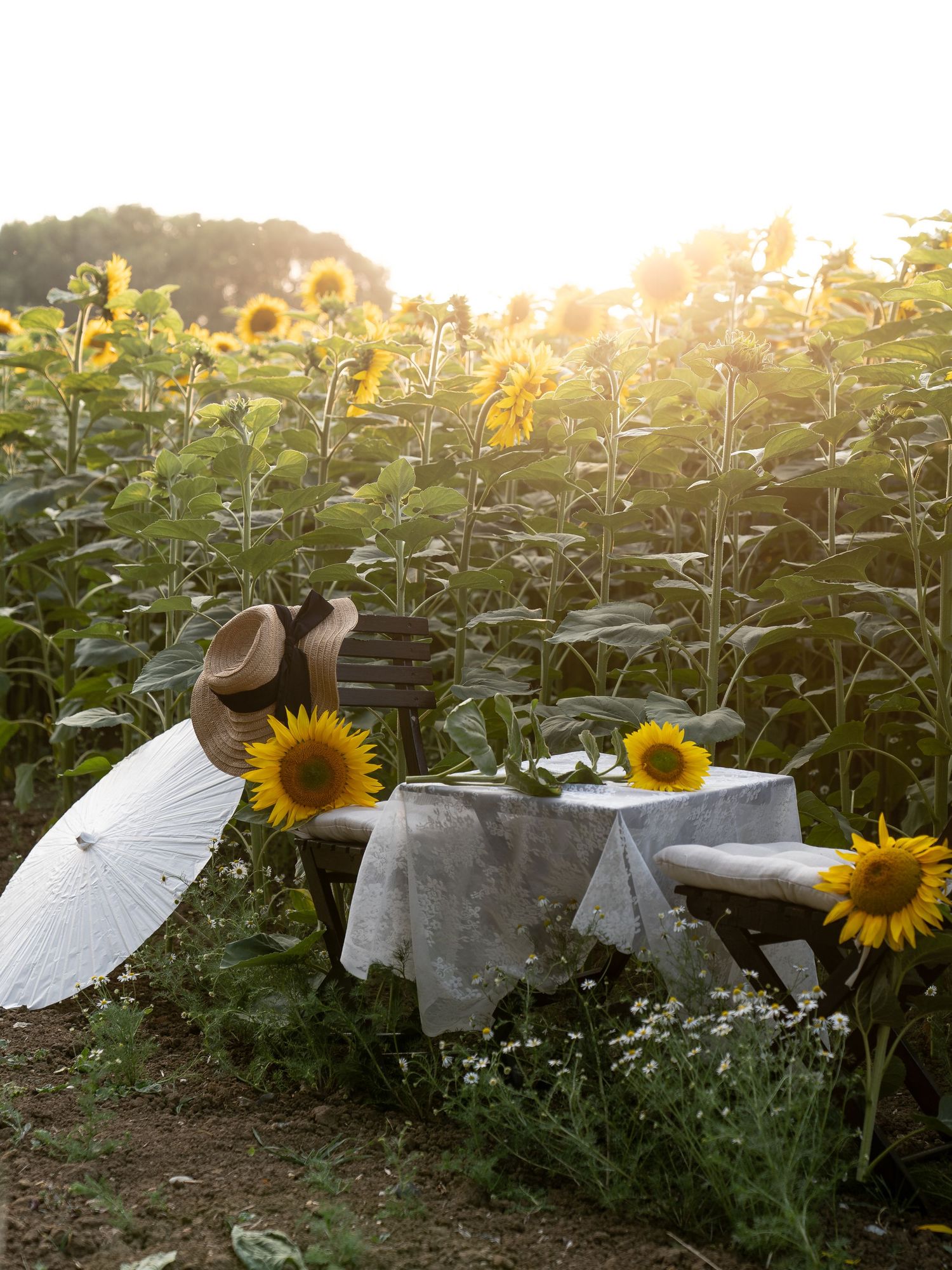 A rustic picnic table with a lace tablecloth and parasol surrounded by blooming sunflowers in golden sunset light.