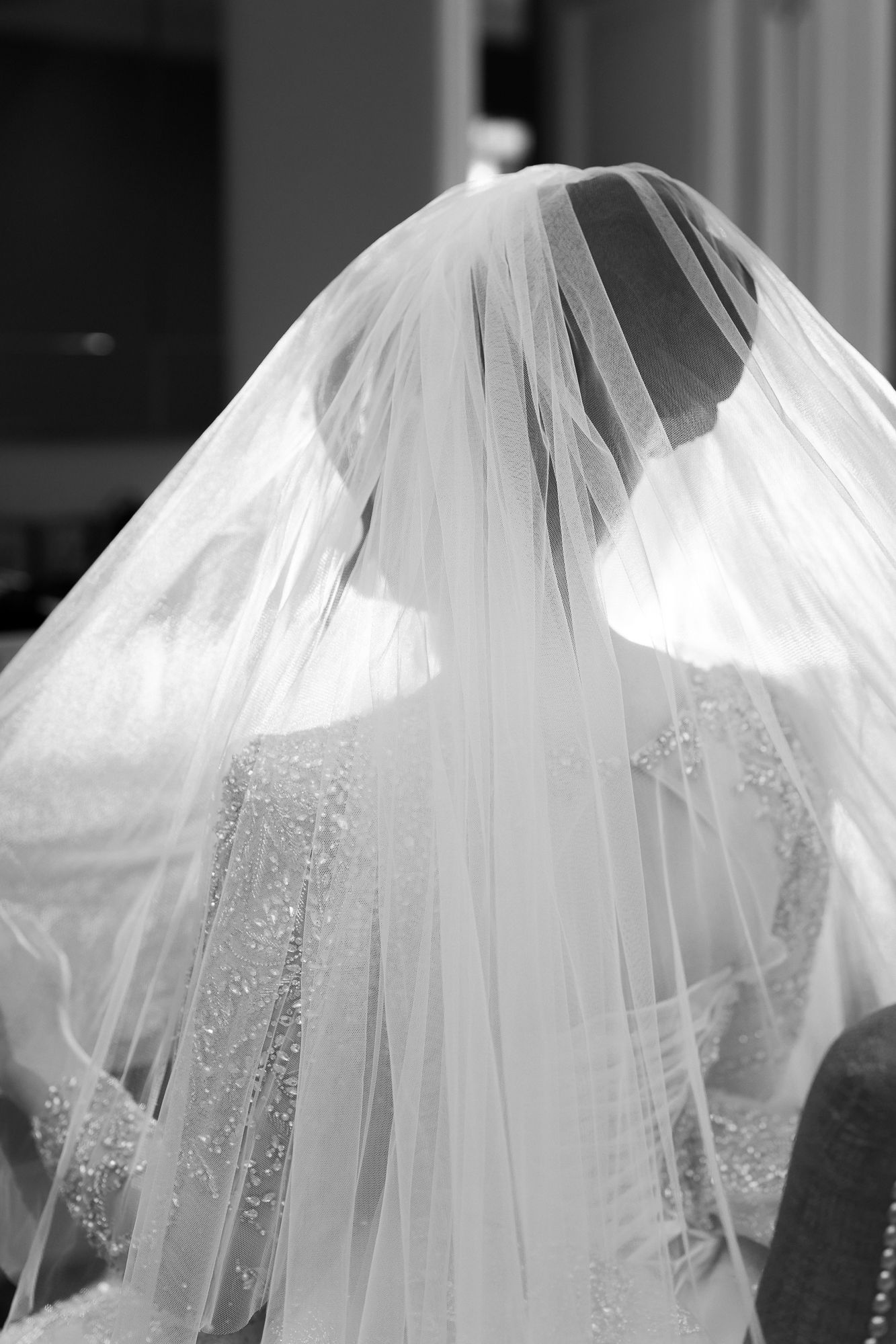 Black and white portrait of a bride seen from behind wearing an elegant pearl-embellished wedding veil.