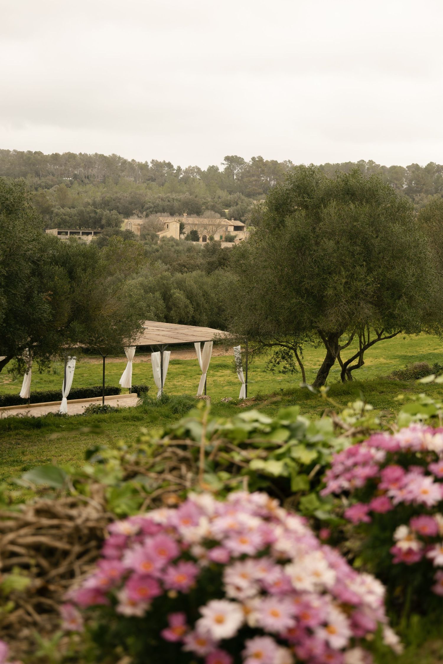 Scenic garden venue with pergola, olive trees, and pink flowers under overcast sky.