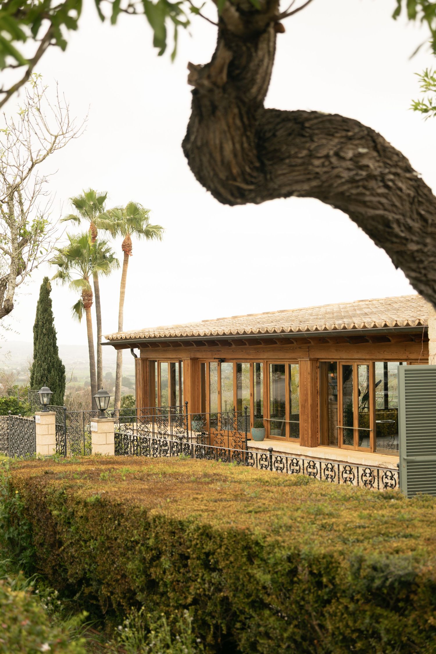 Charming wooden pavilion with glass doors surrounded by lush gardens, palm trees, and gnarled tree trunk.