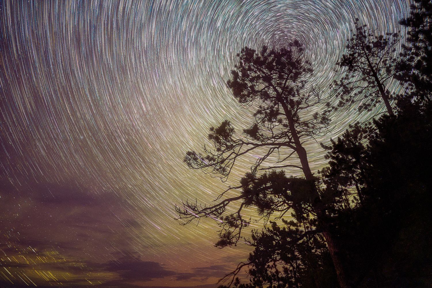 Long exposure star trails create circular patterns in the night sky above dark tree silhouettes.