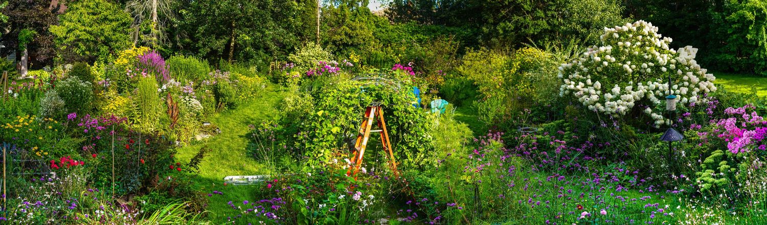 A lush garden path lined with blooming white flowers and green foliage extends into the distance.