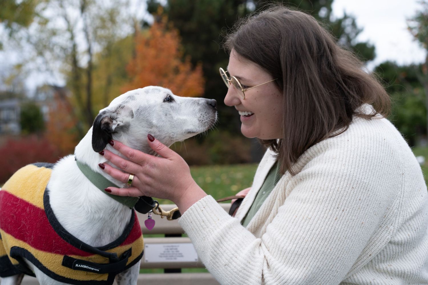 A person in a white sweater shares tender moments with a white dog in a series of affectionate photos.