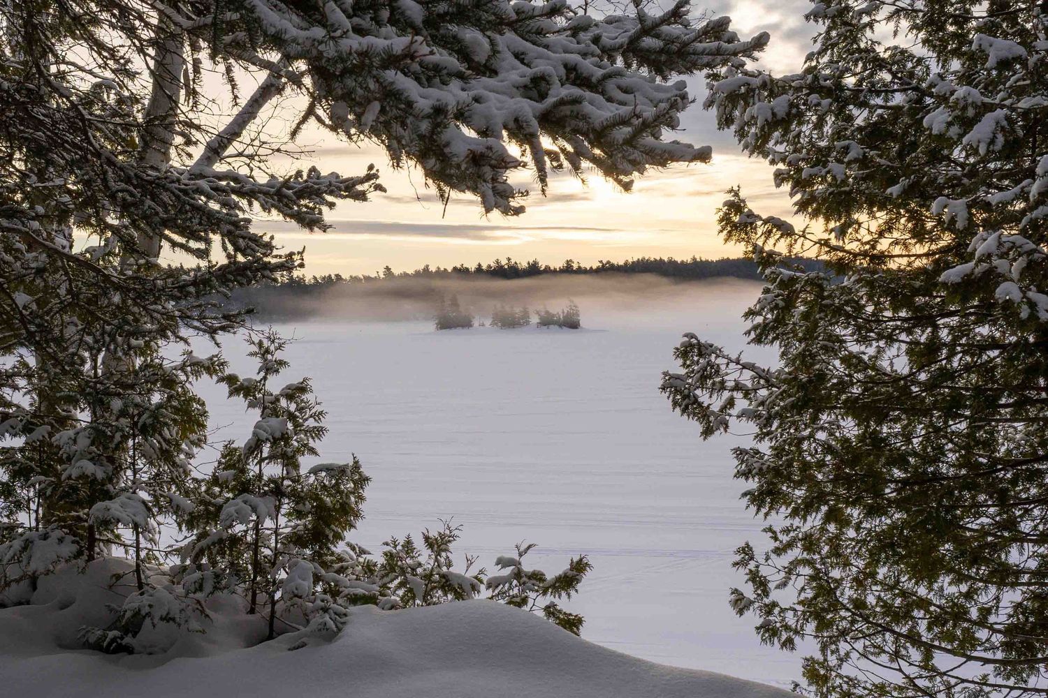 Snow-covered evergreen trees frame snow fog as it drifts across a frozen lake landscape at sunrise