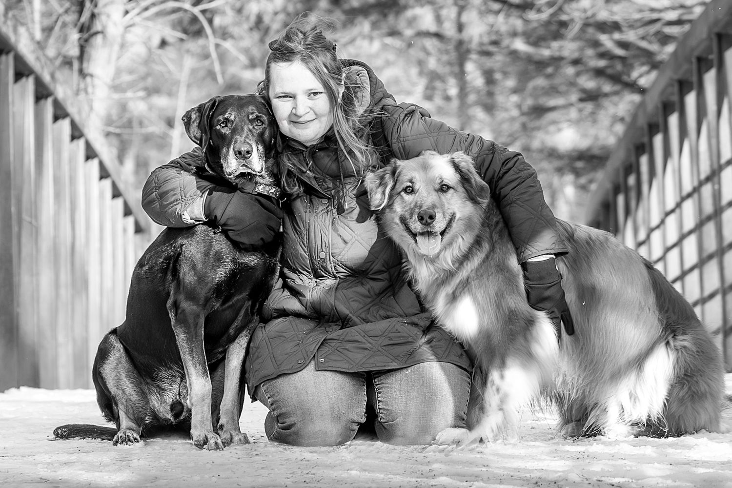 A group of dogs and their owners laying together in a row on a wooden deck for a portrait session.